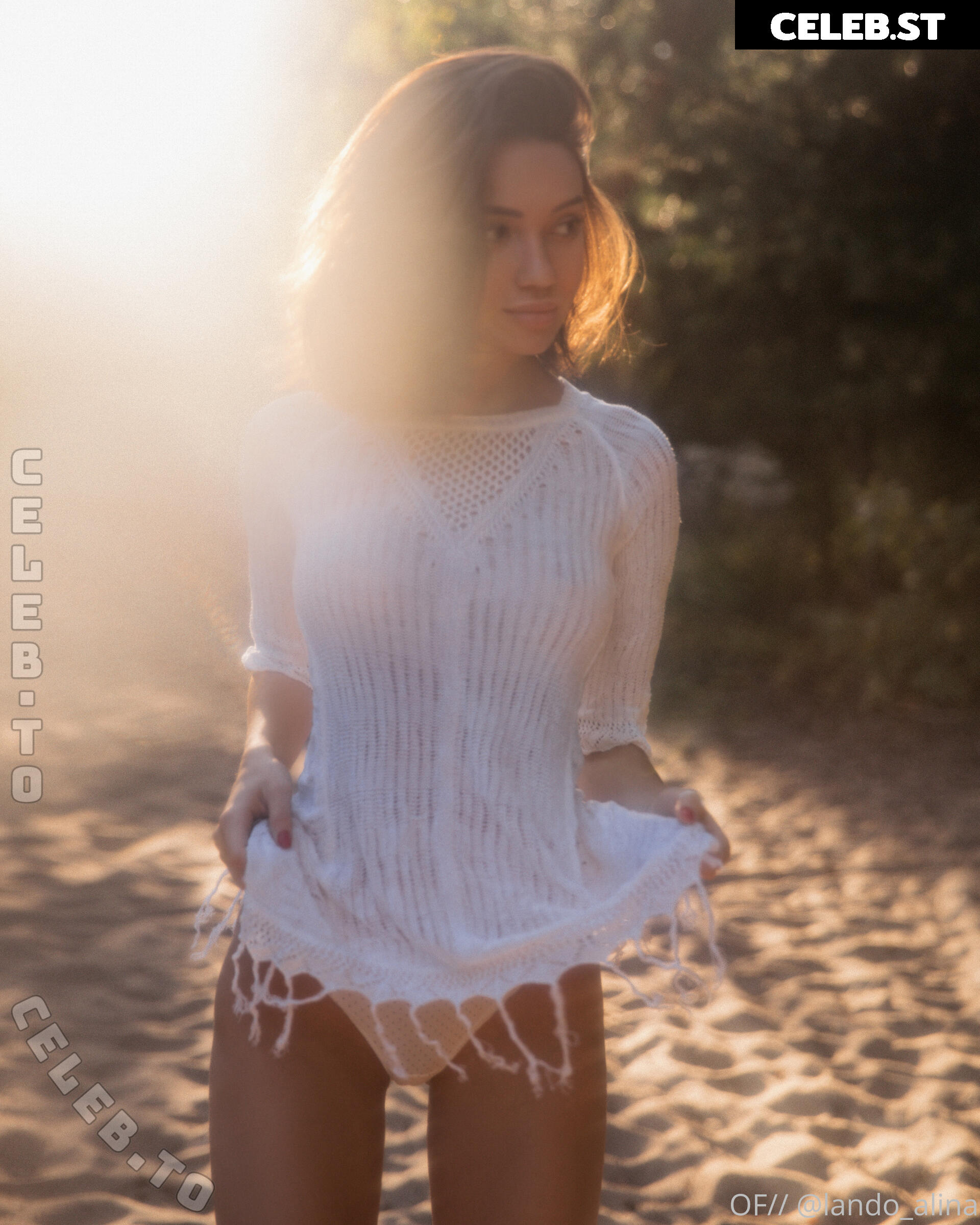 Alina Lando Image 25996182