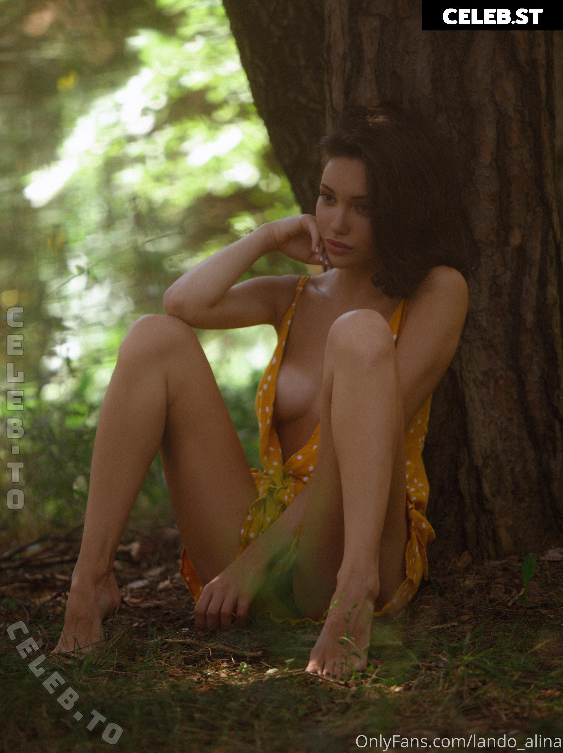 Alina Lando Image 25985144