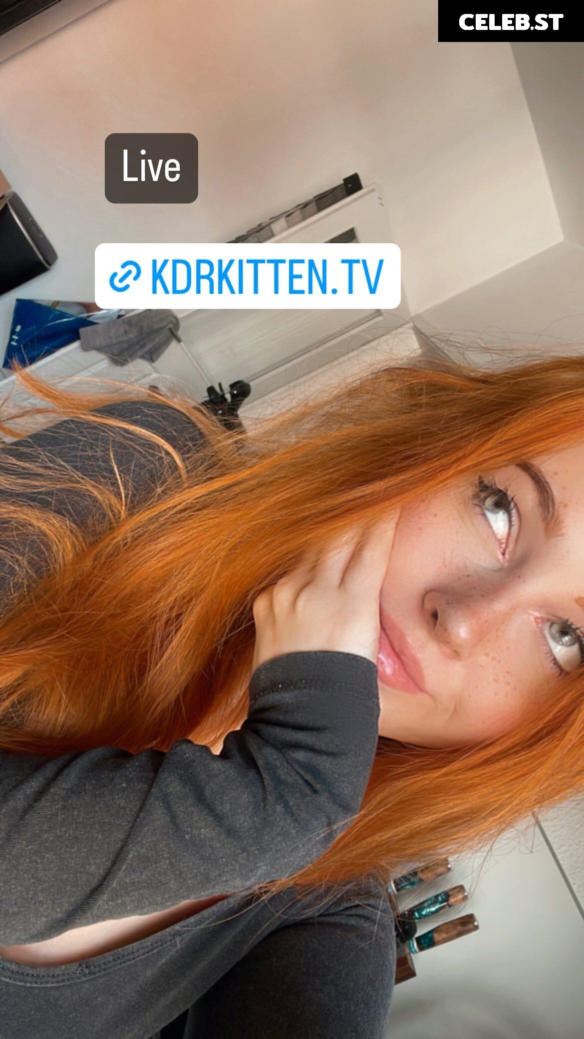 KDRkitten Image 2585217