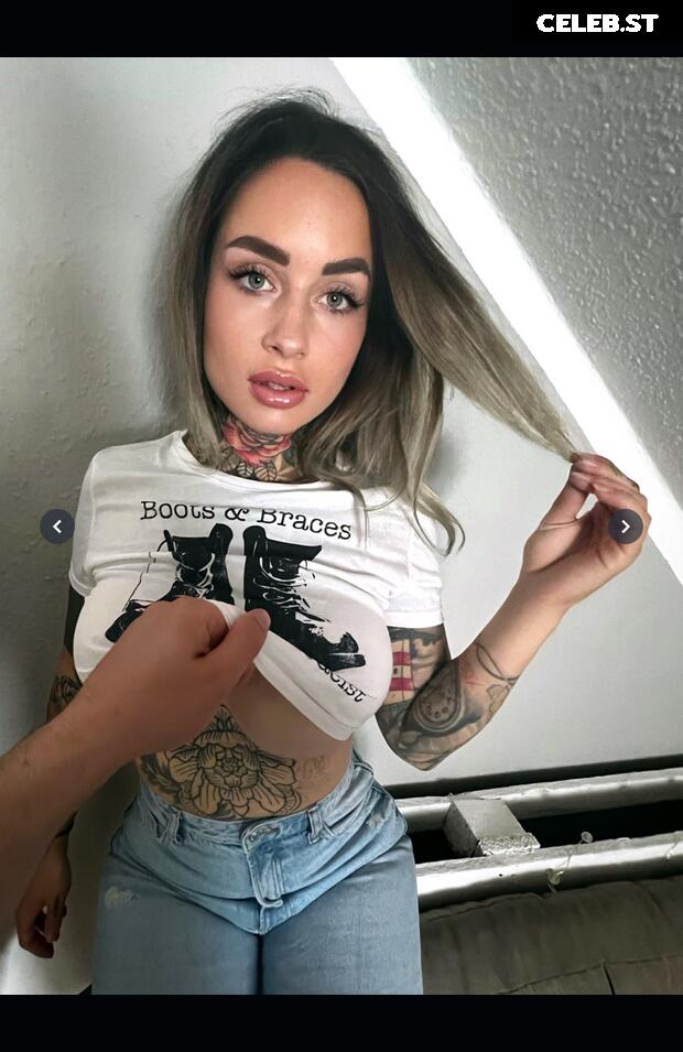 Alohavan Image 2584834