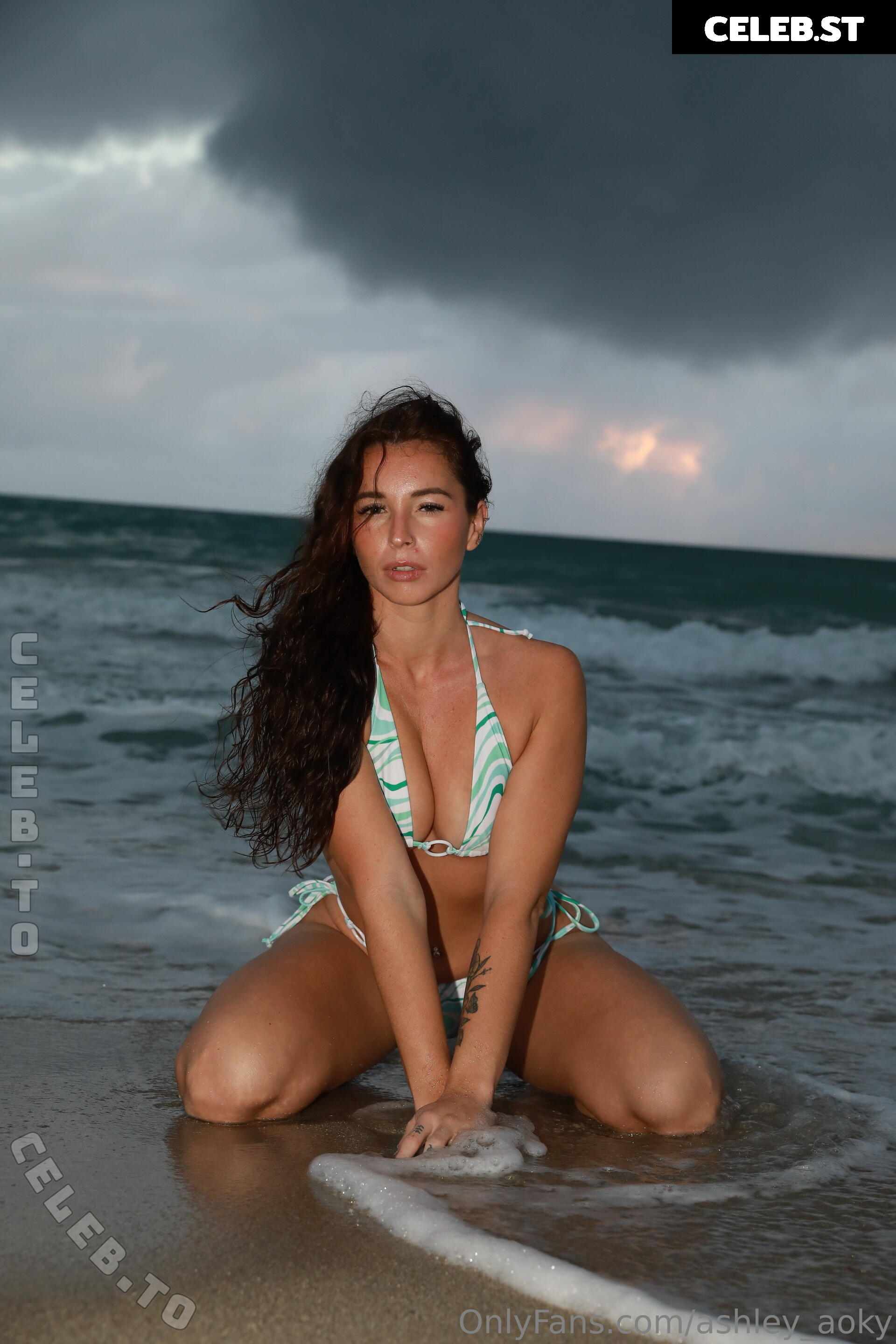 Ashley Aoky Image 25824553