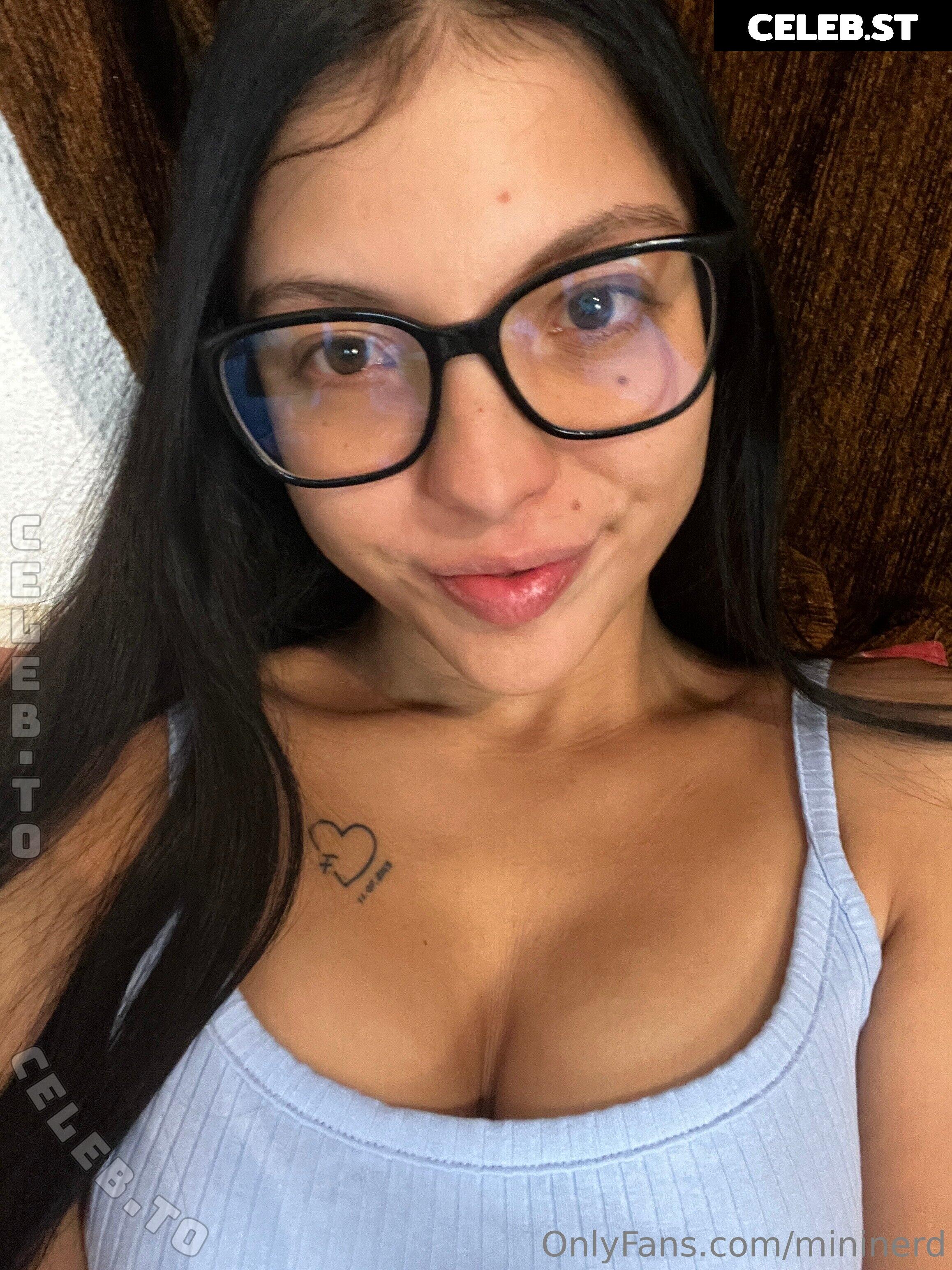 Mininerd Image 25891597