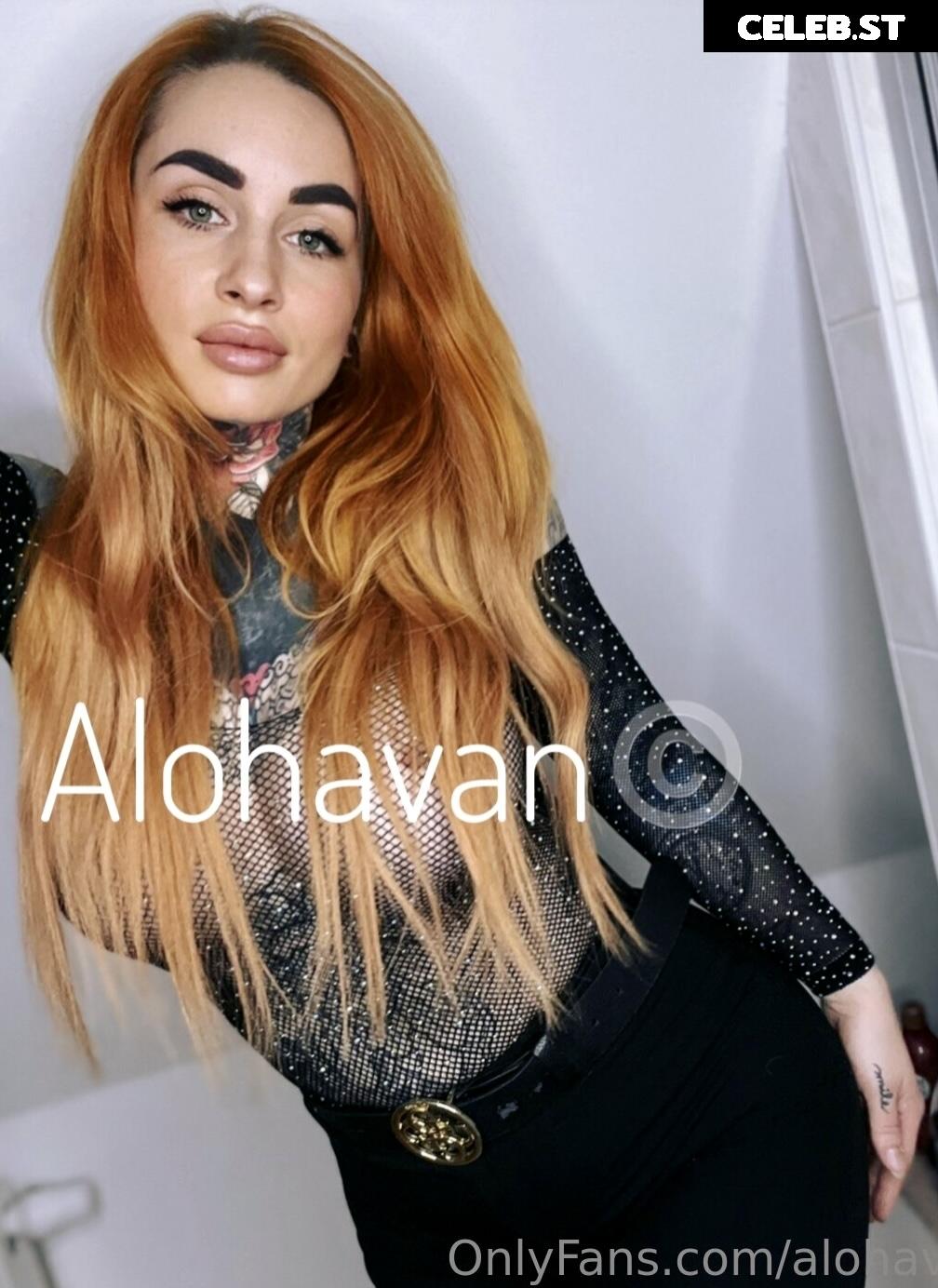 Alohavan Image 2588223