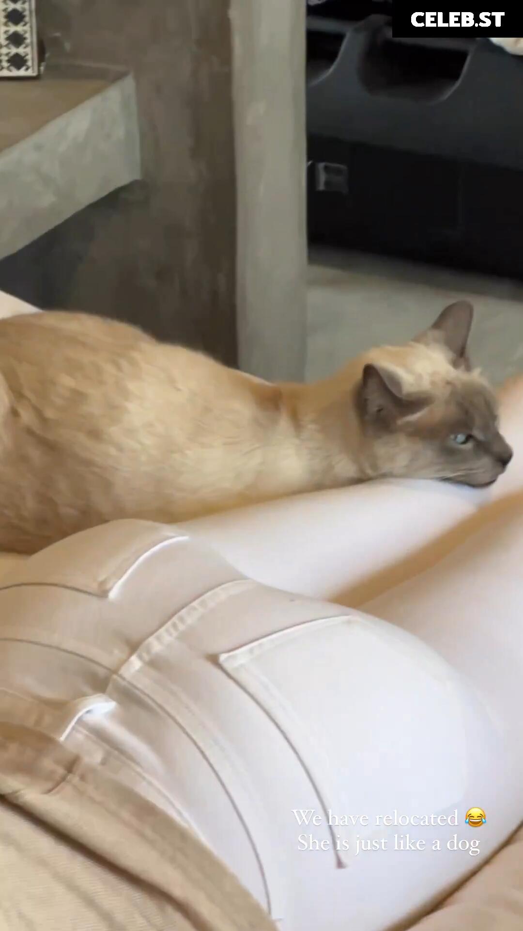 Sohni Ahmed Image 2565746