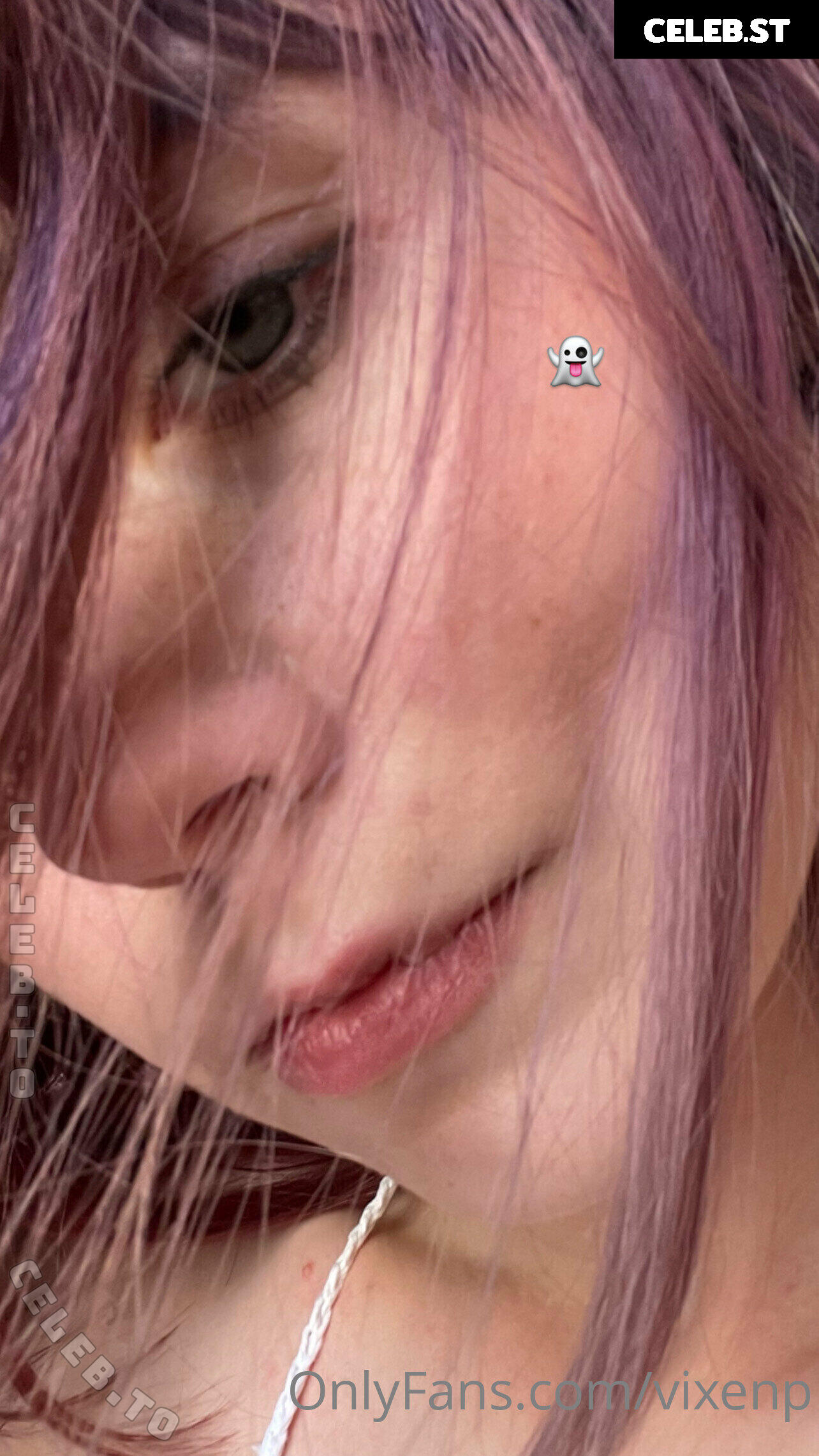 Vixenp Image 25614181