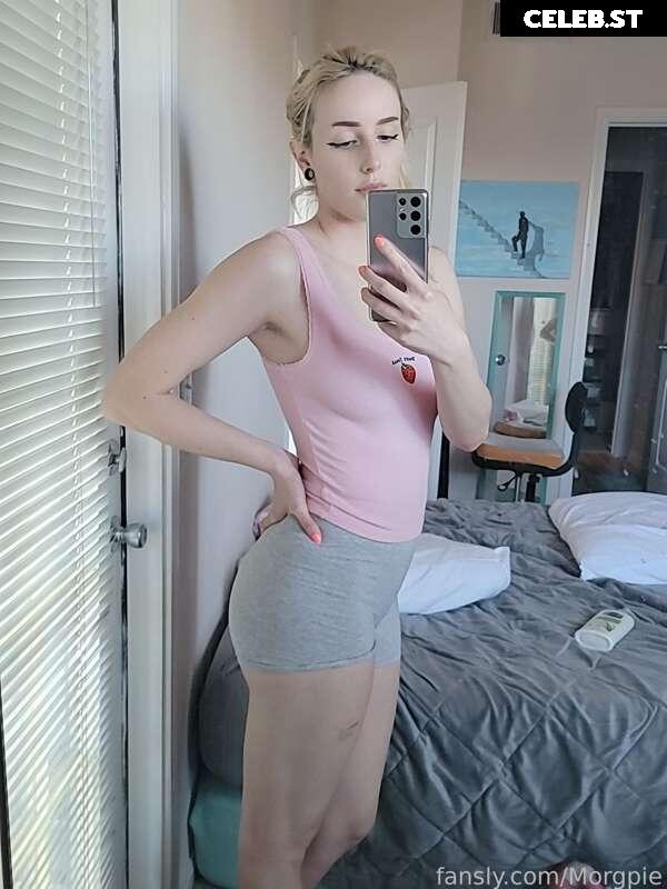 Morgpie Image 2562447