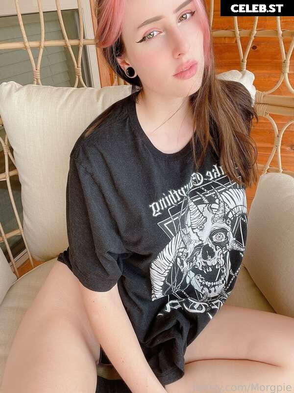 Morgpie Image 2563333