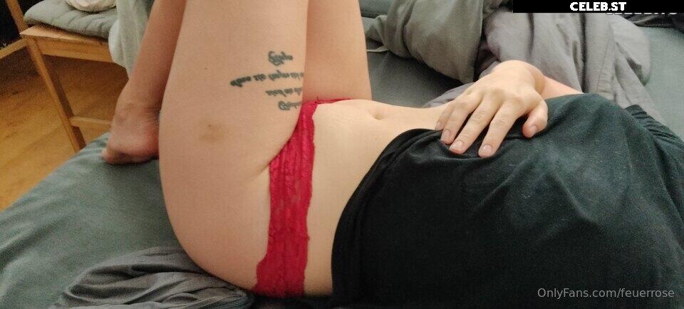 Feuerrose Image 2552370