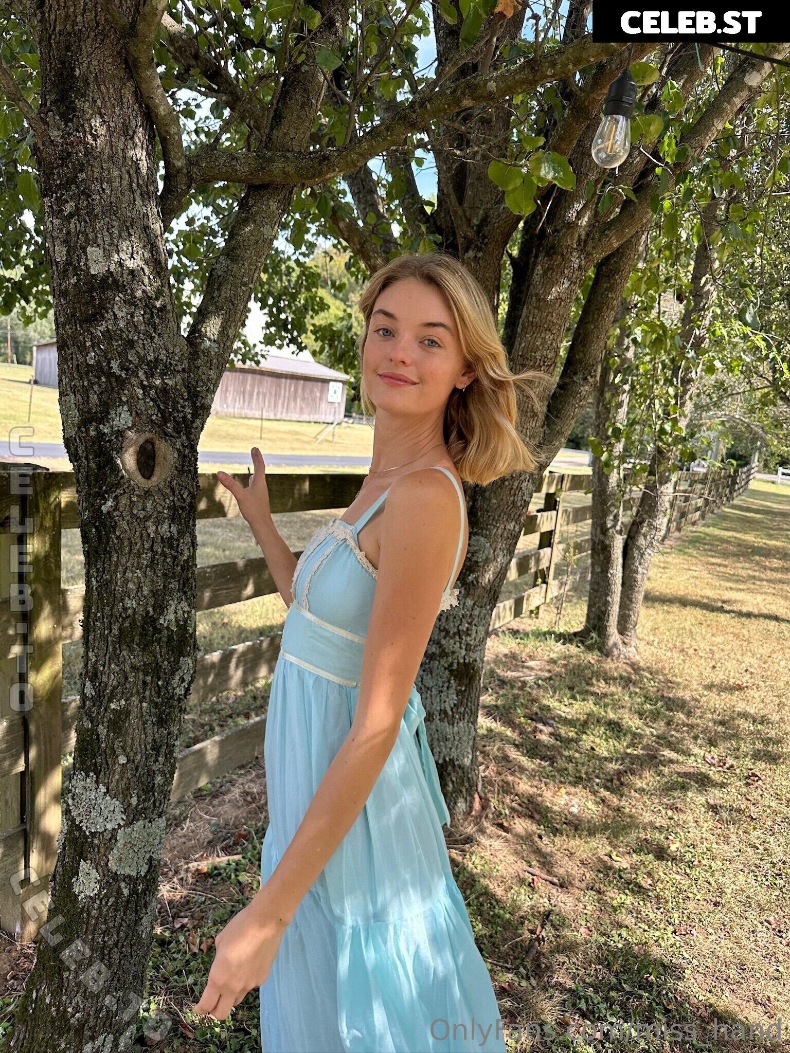 Willow Hand Image 25595164