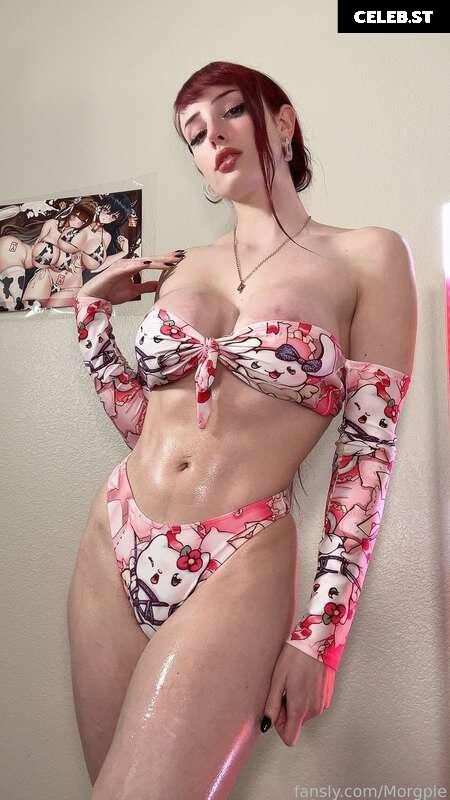 Morgpie Image 2559340