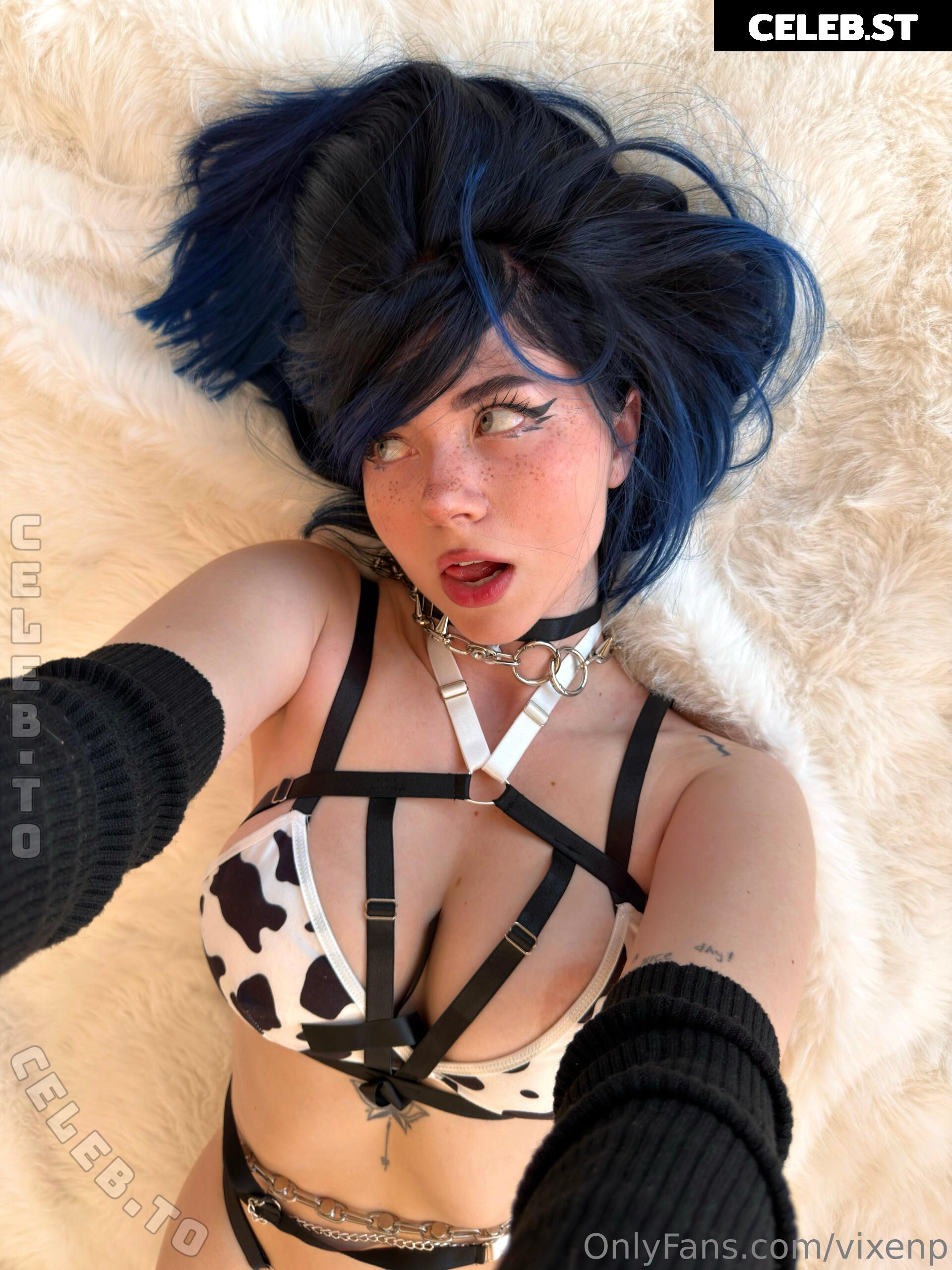 Vixenp Image 25587229