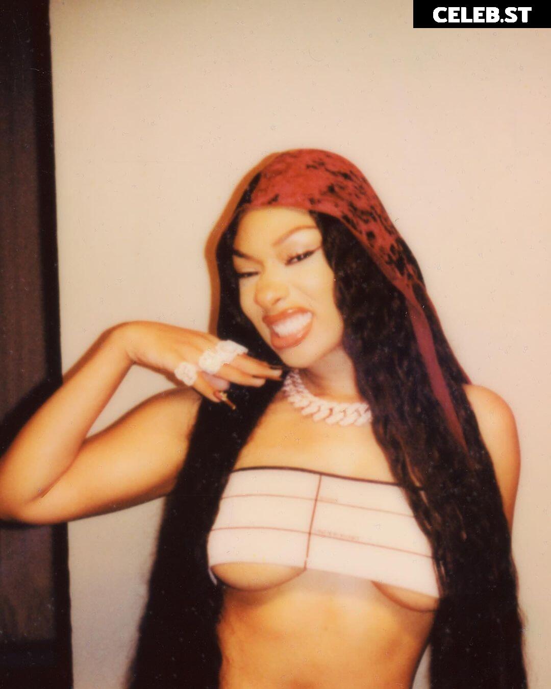 Megan thee stallion Image 2545138