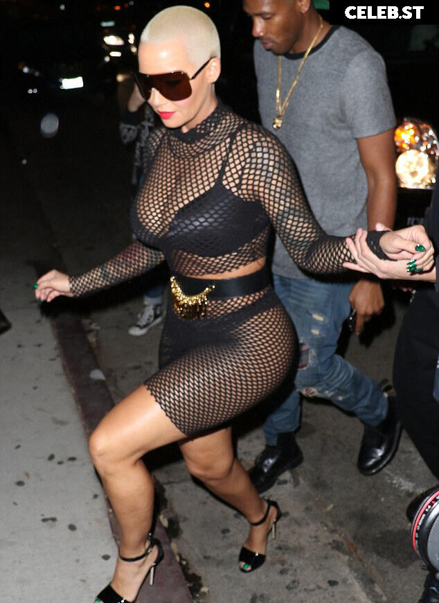 Amber Rose Image 2545242