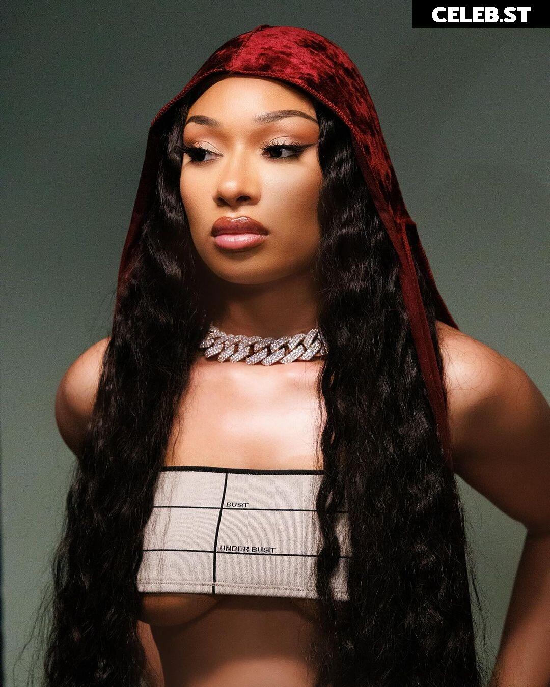 Megan thee stallion Image 2545232
