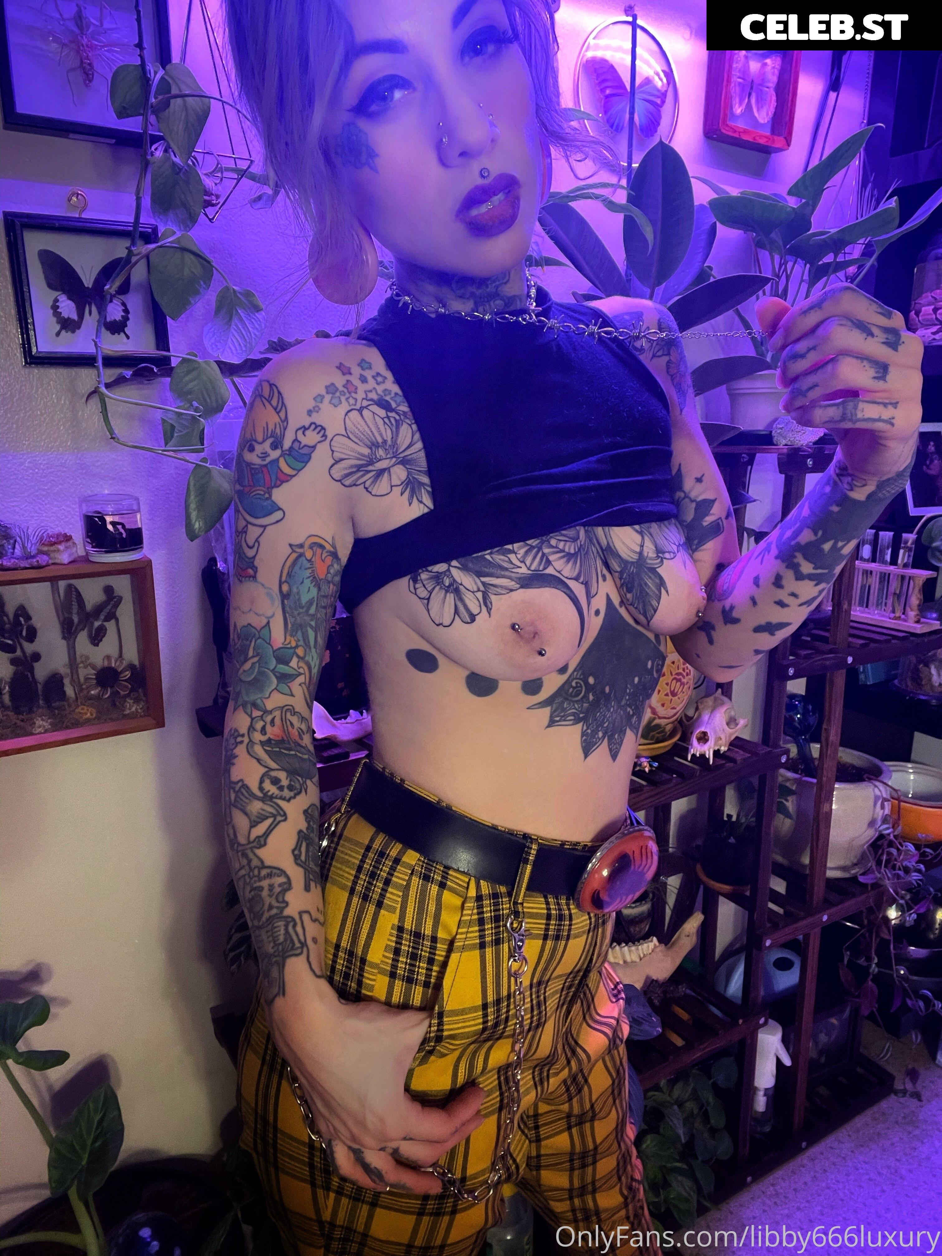 Libby Lux Image 2545951