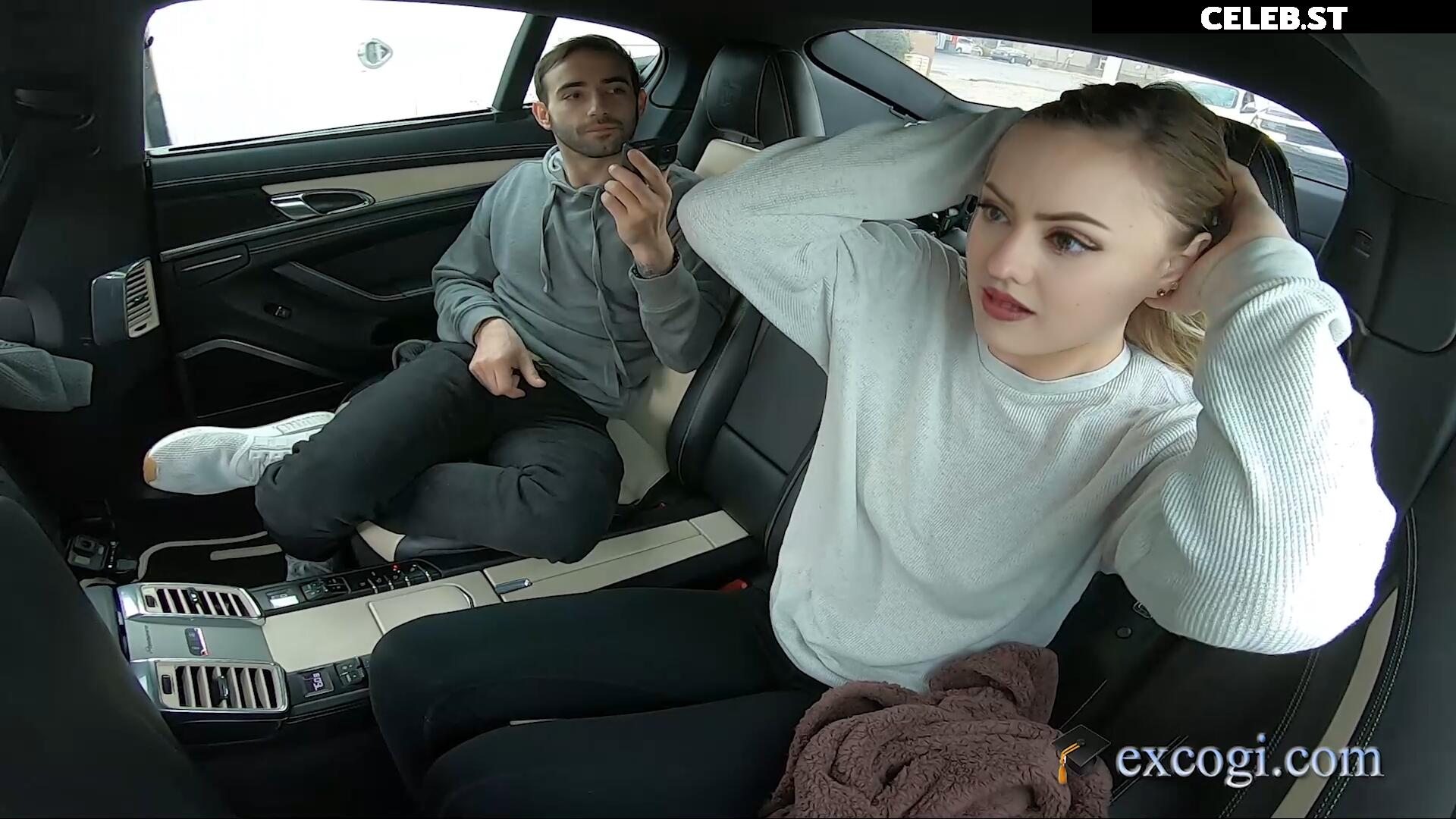 Farbenfuchs Image 2546441