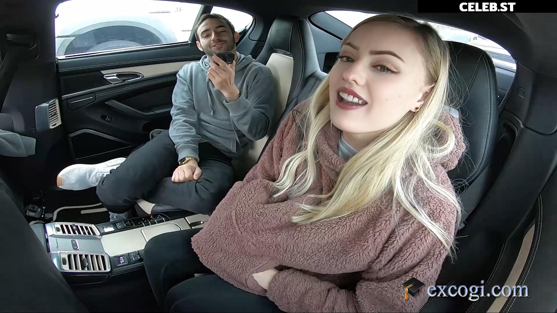 Farbenfuchs Image 2546745