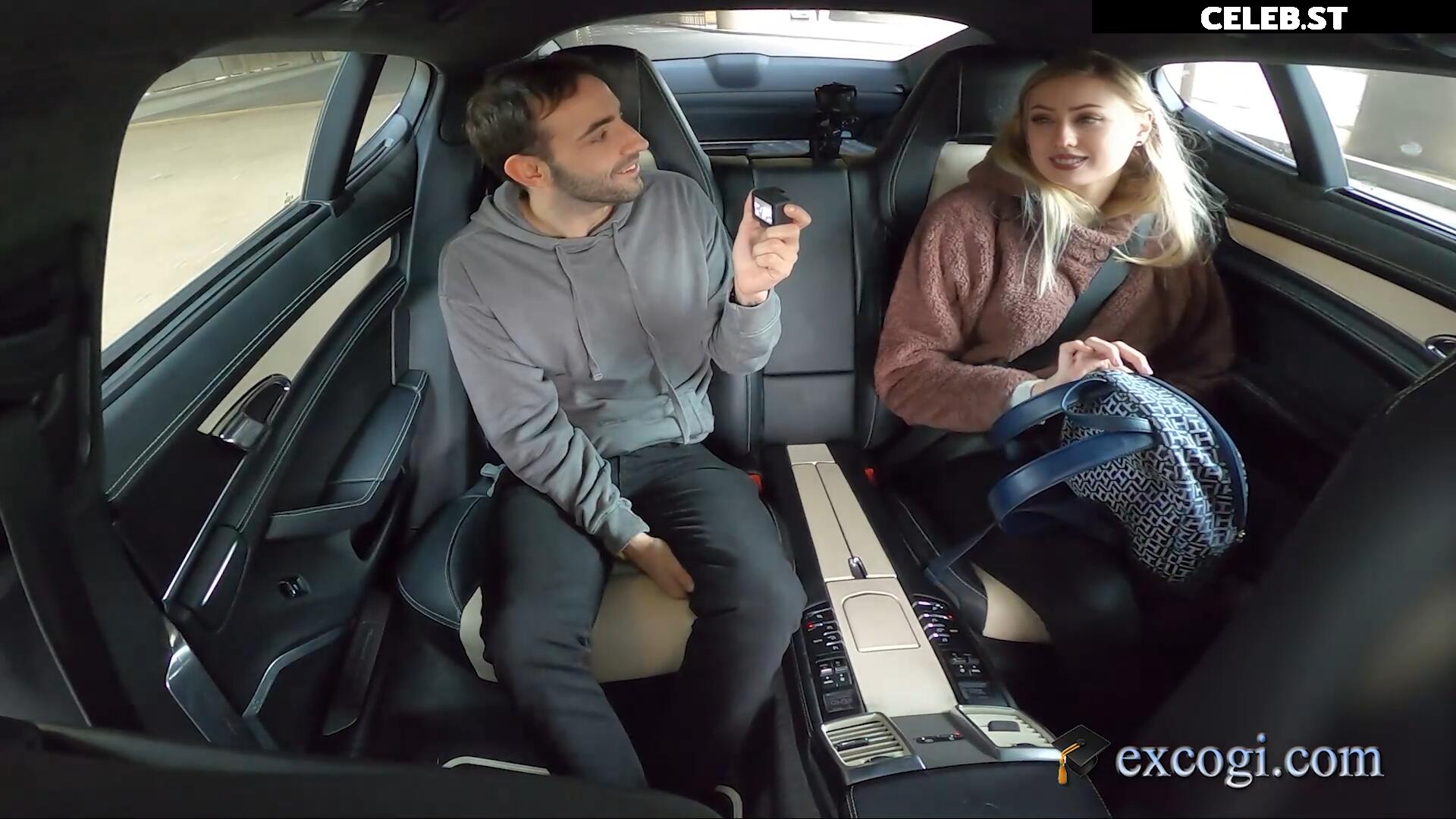 Farbenfuchs Image 2547735