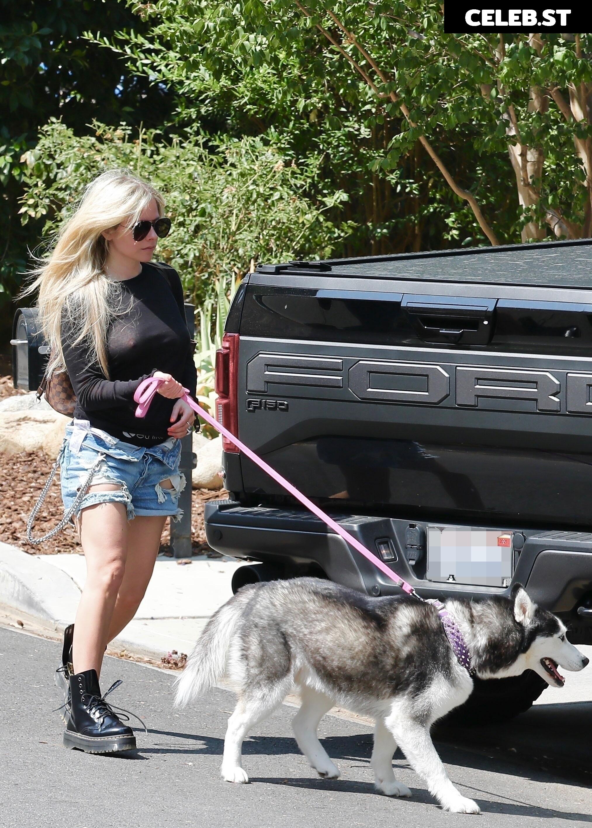 Avril Lavigne Image 2544793