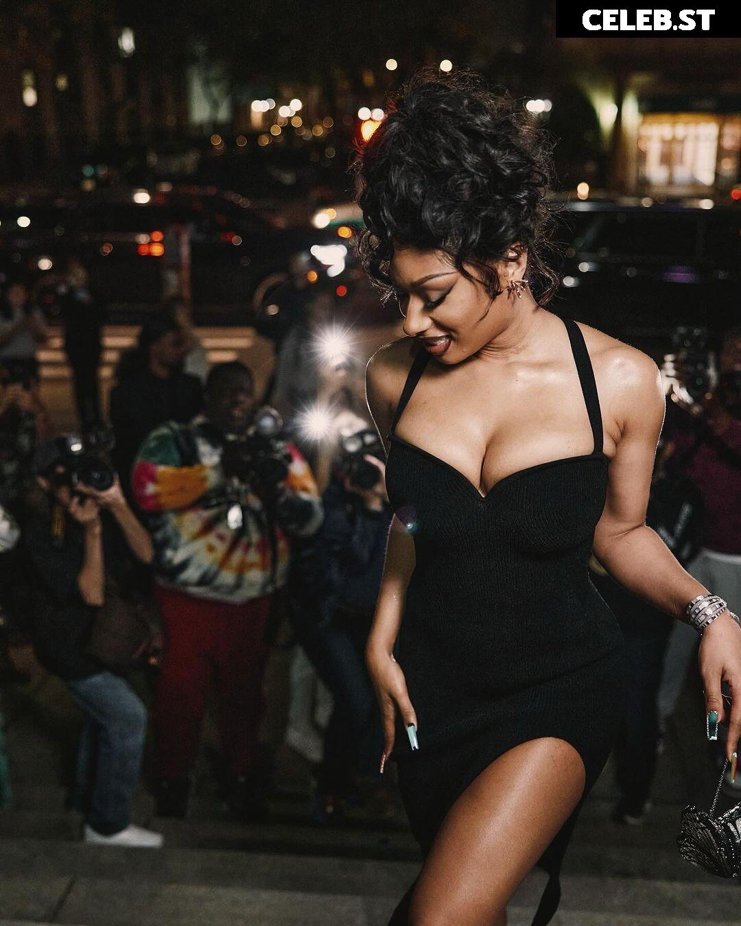 Megan thee stallion Image 2544357