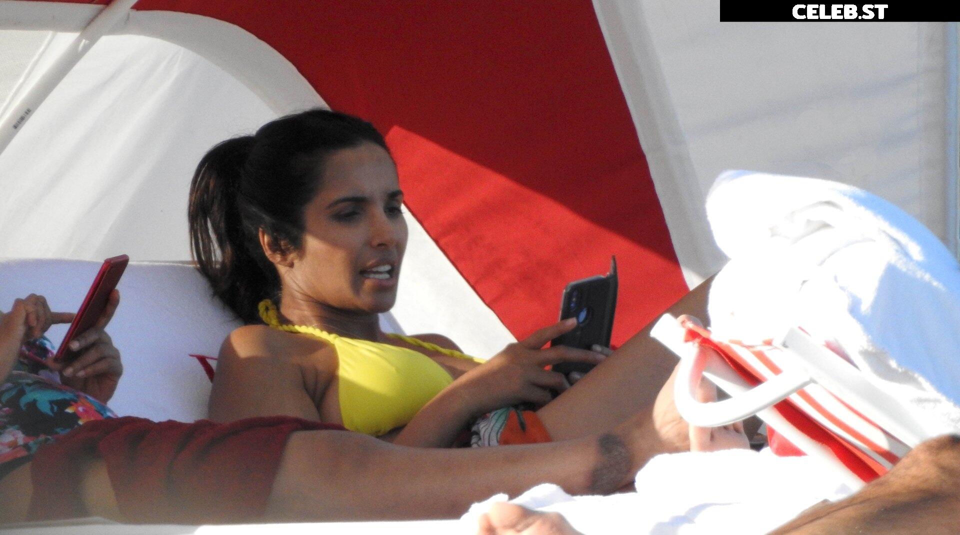 Padma Lakshmi Image 2541682