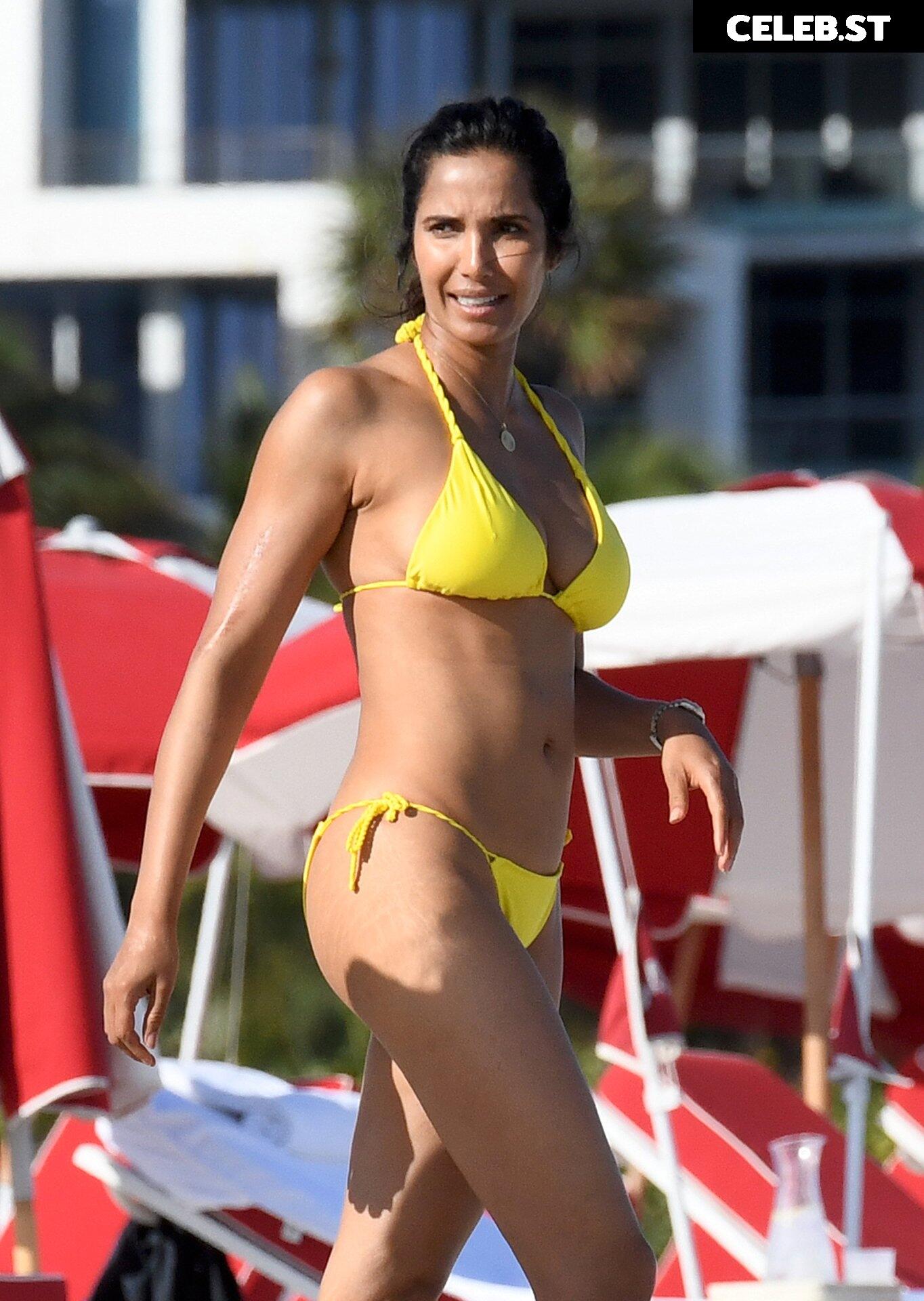 Padma Lakshmi Image 2542039