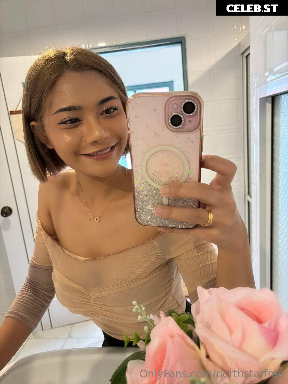 North Star Image 25423