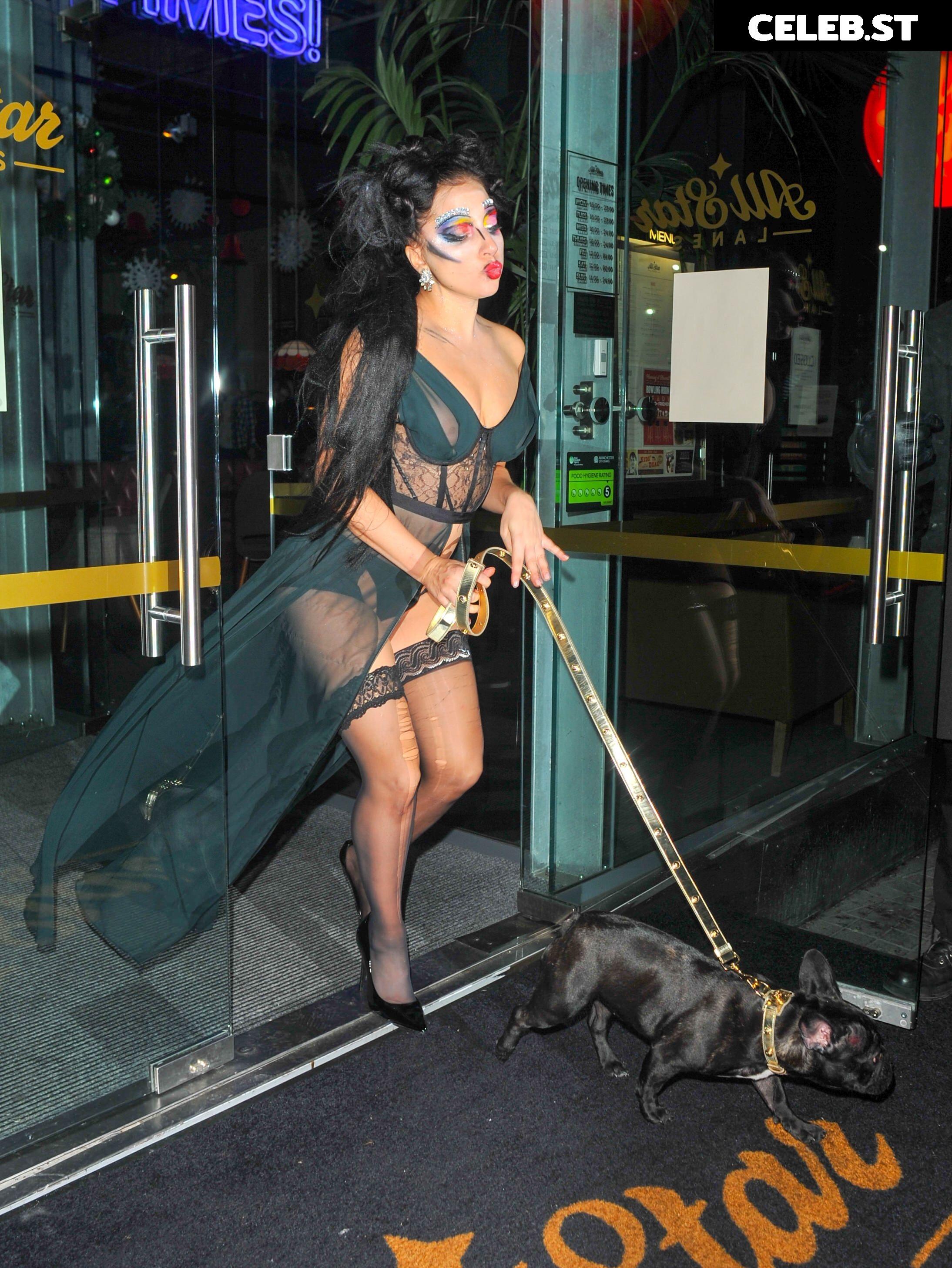 Lady Gaga Image 2542394