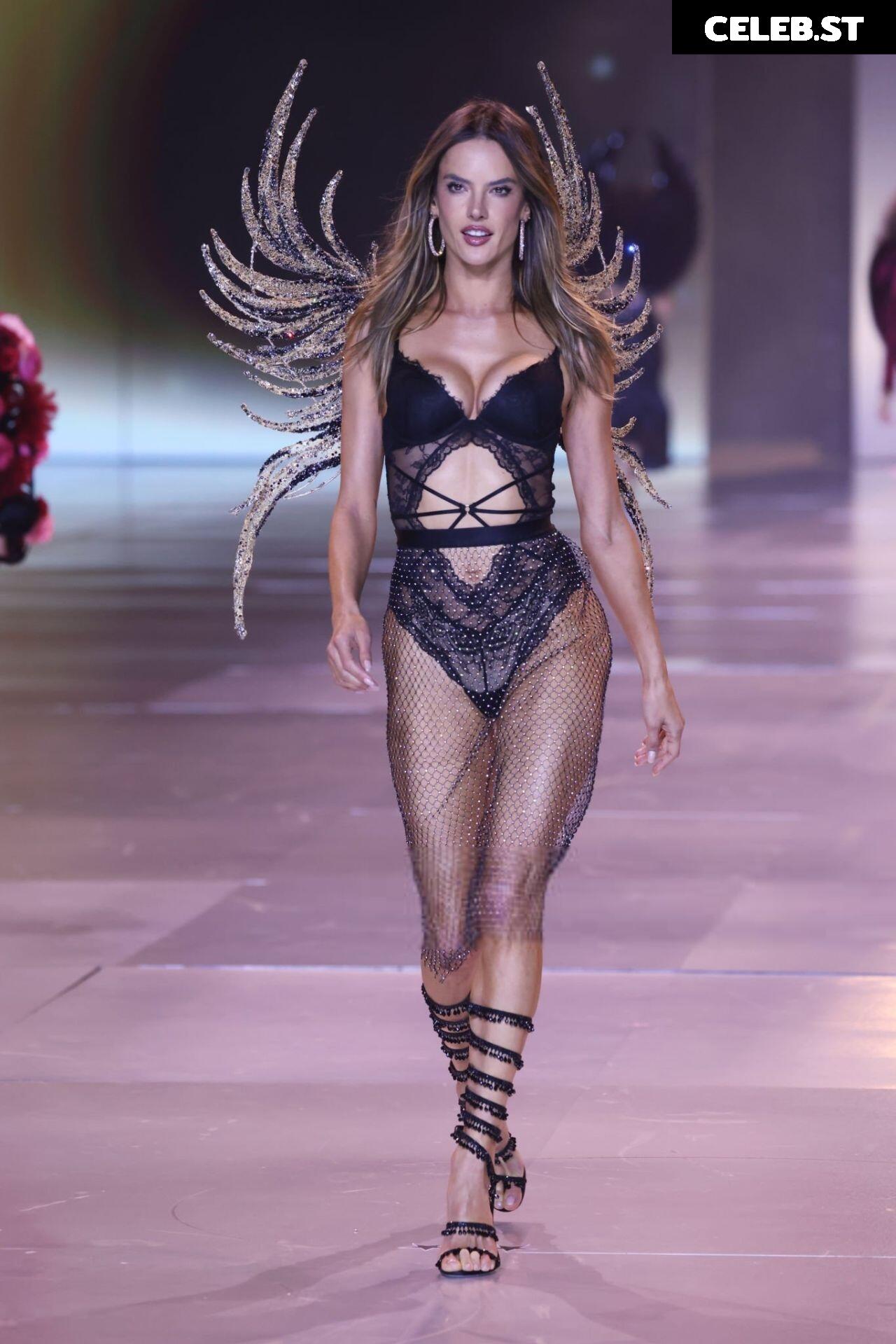 Alessandra Ambrosio Image 2543482