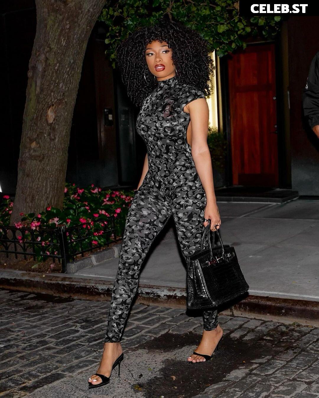 Megan thee stallion Image 2543051