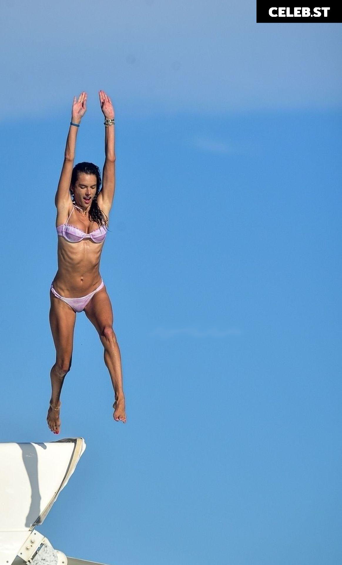 Alessandra Ambrosio Image 2548096