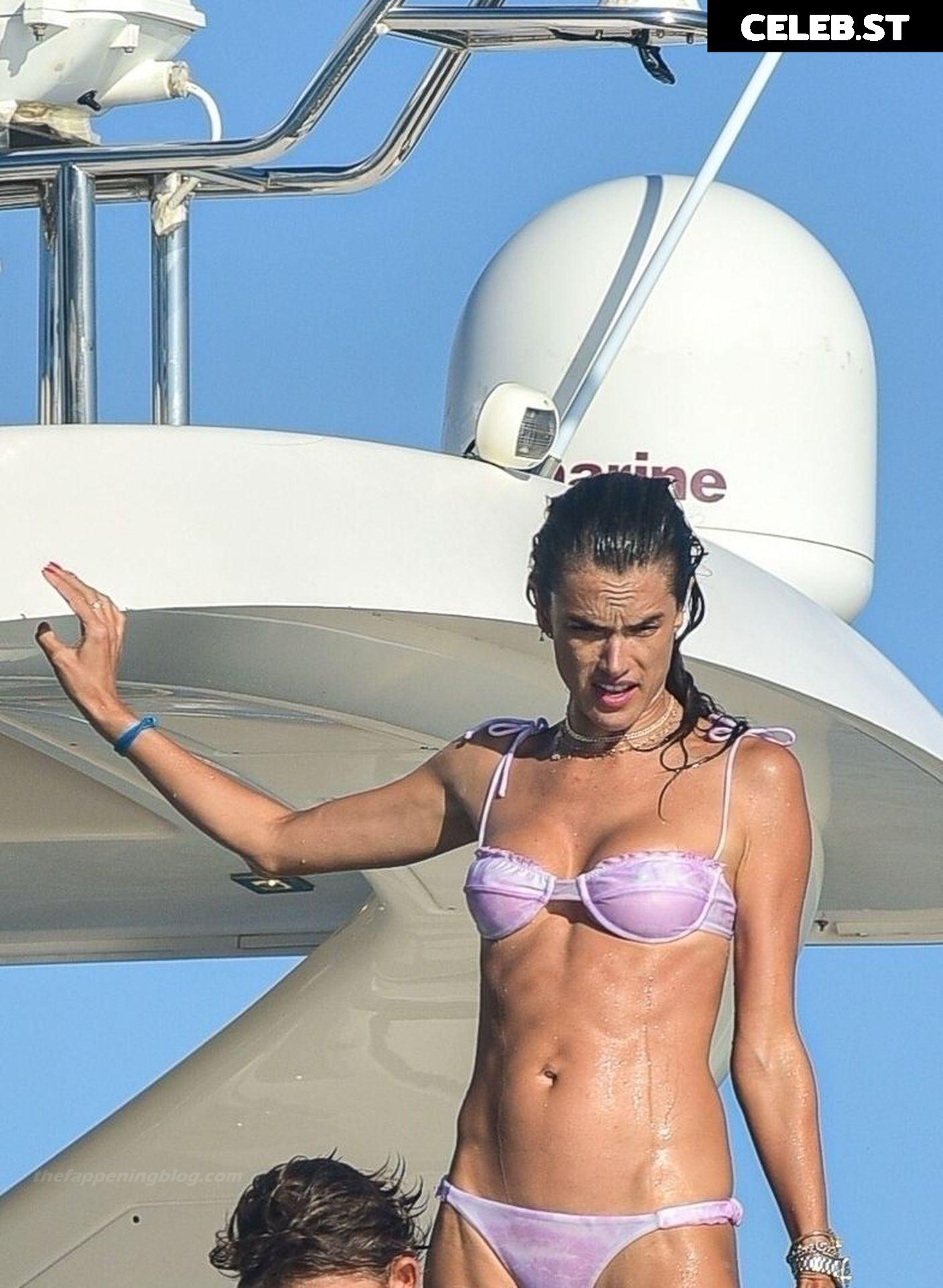 Alessandra Ambrosio Image 2548024