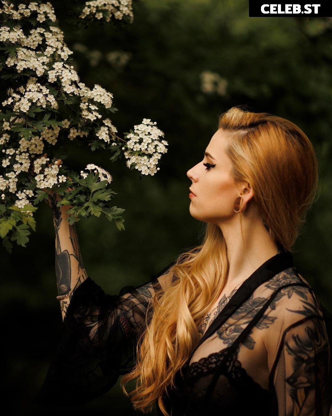 hc_x_owl Image 2534049