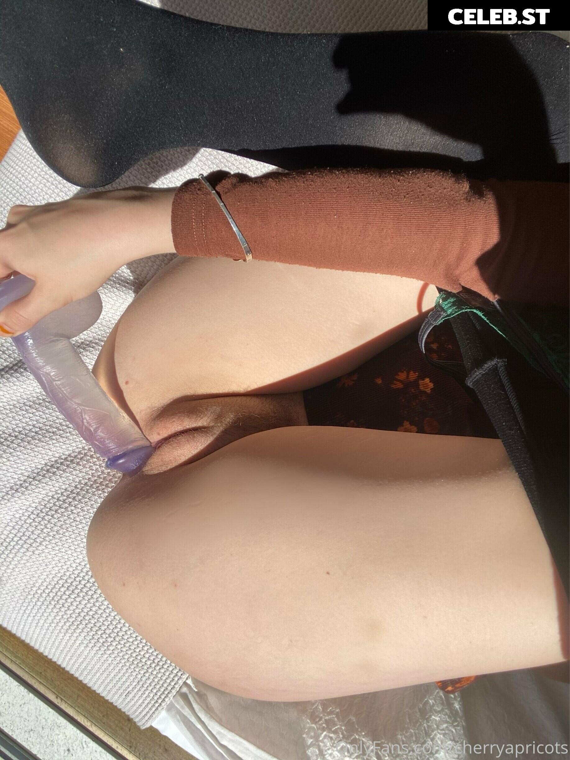 Cherryapricots Image 2531065