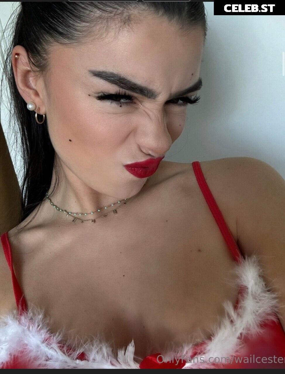 Wailcester Image 2530515