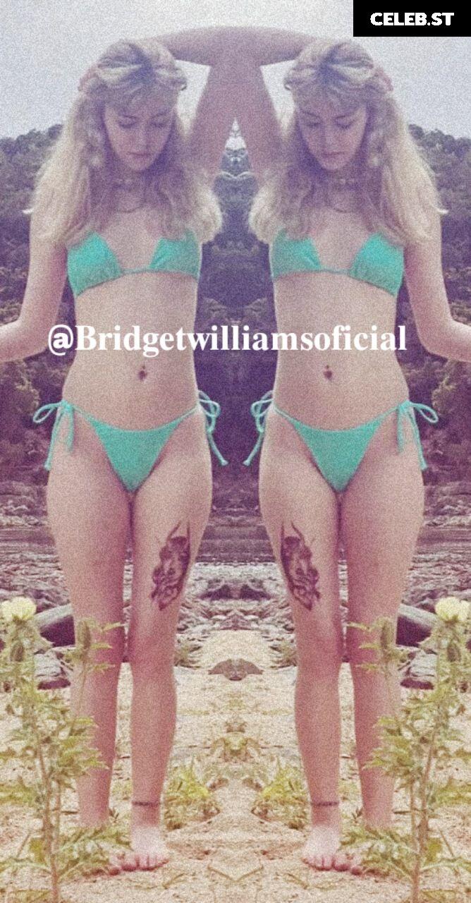 Bridget Williams/BridgetKWilliams_ Image 25306955