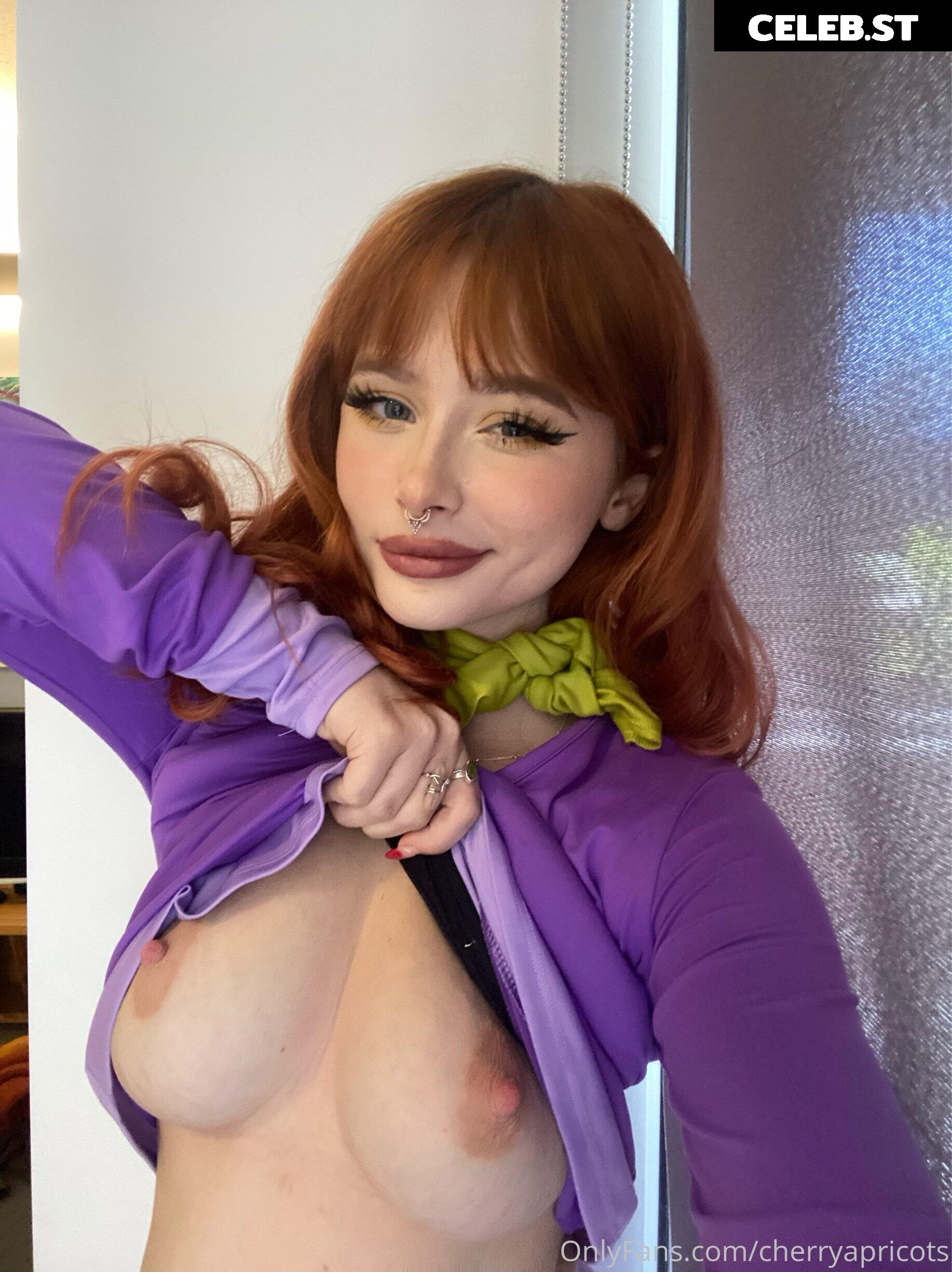 Cherryapricots Image 2523222