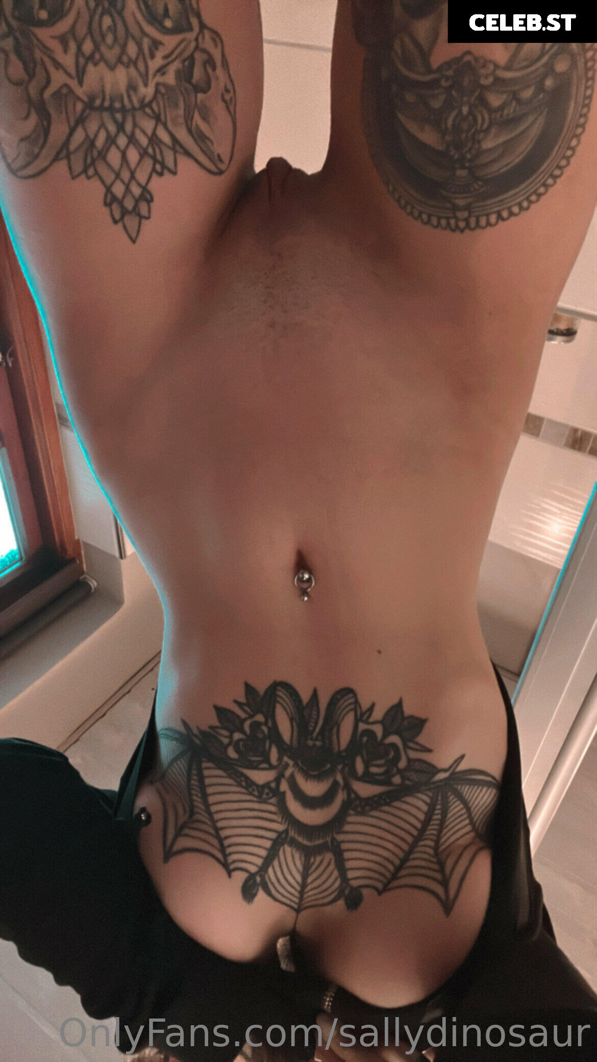 Sallydinosaur Image 2529058