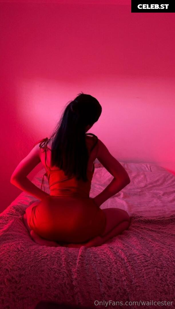 Wailcester Image 2528878