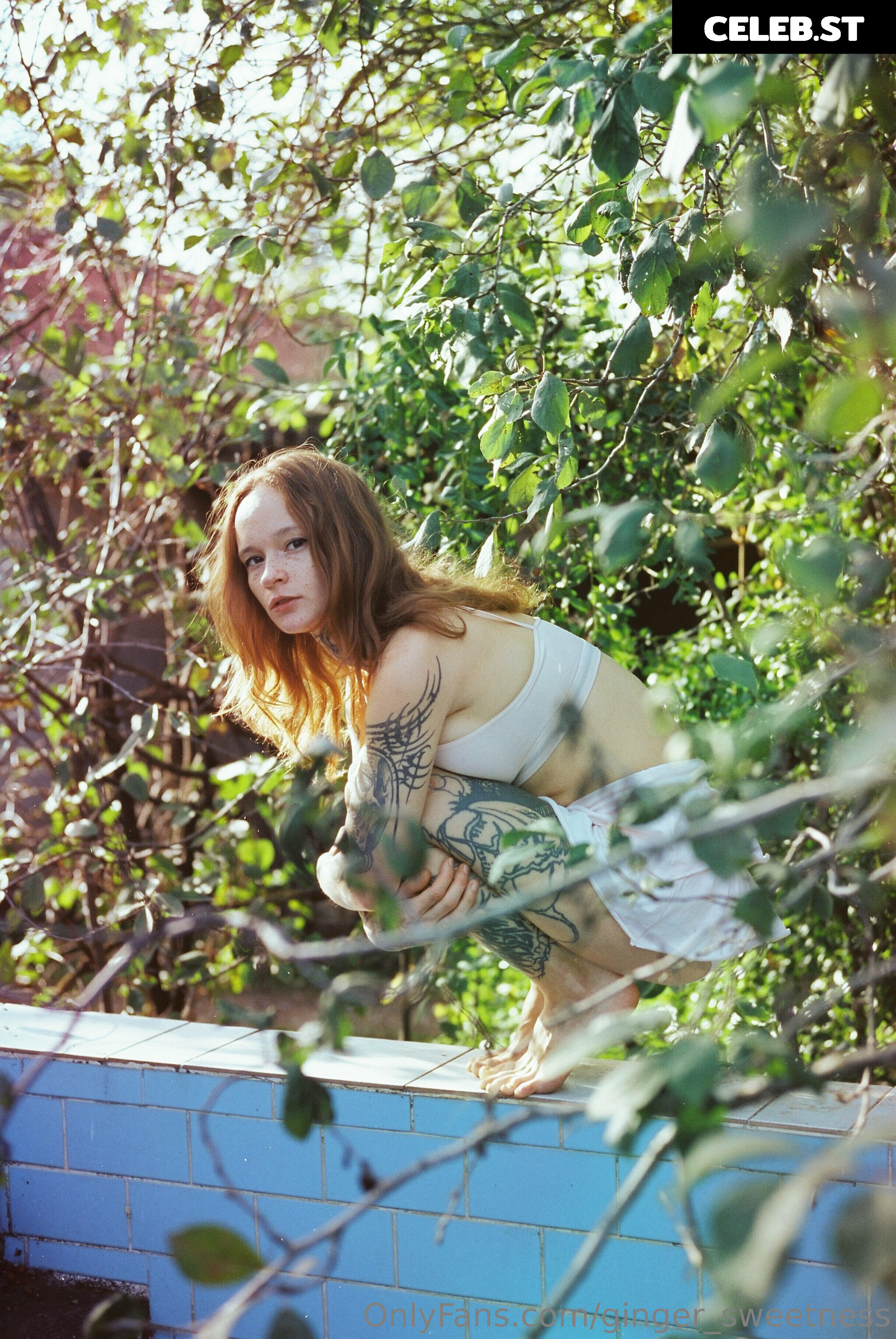 ginger_sweetness Image 251512