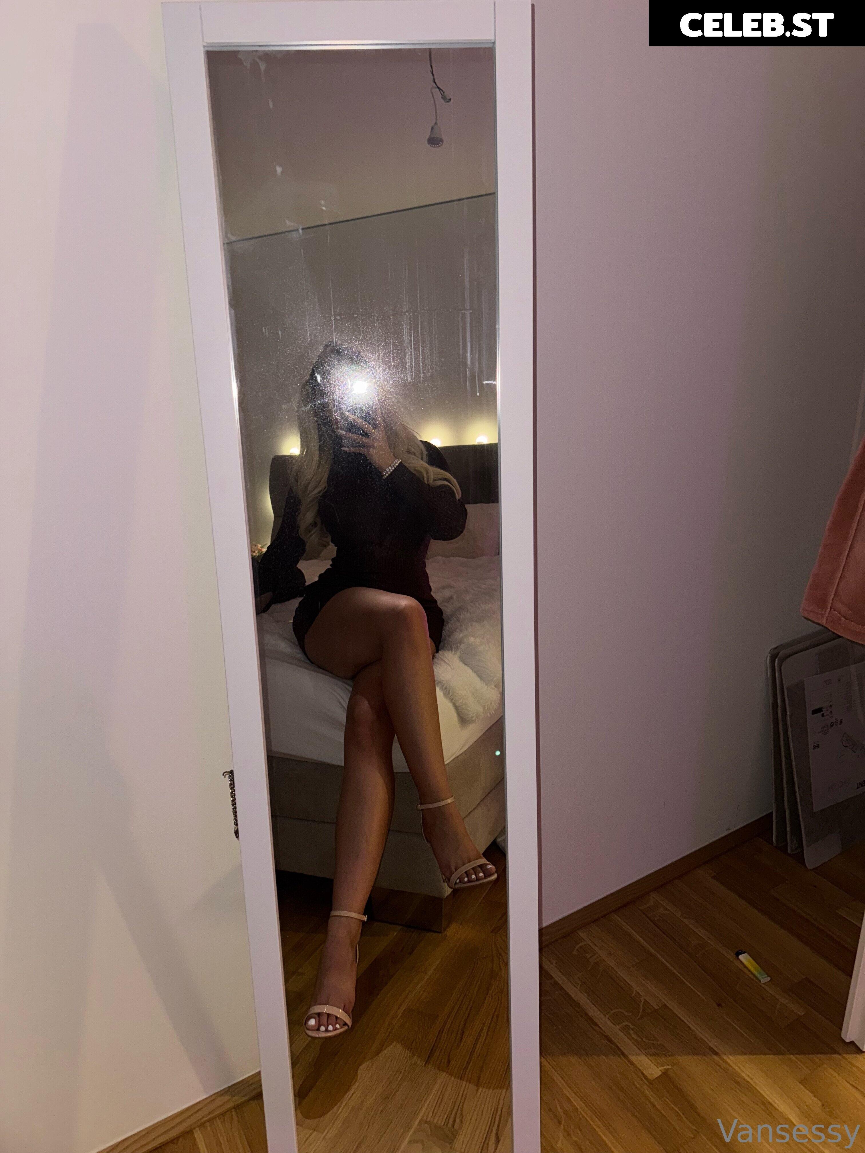 Vansessy Image 25168050