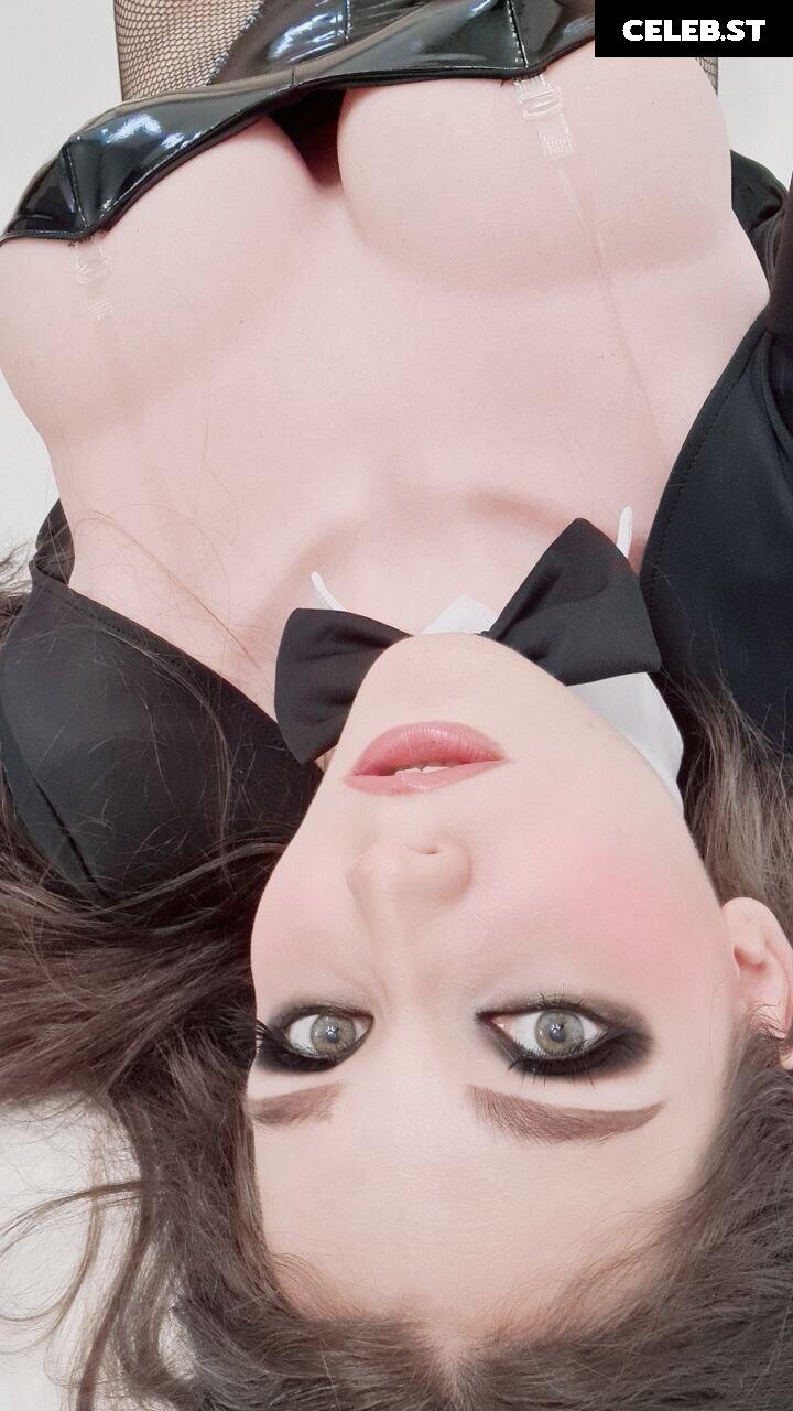 Kittyklaw Image 2517085