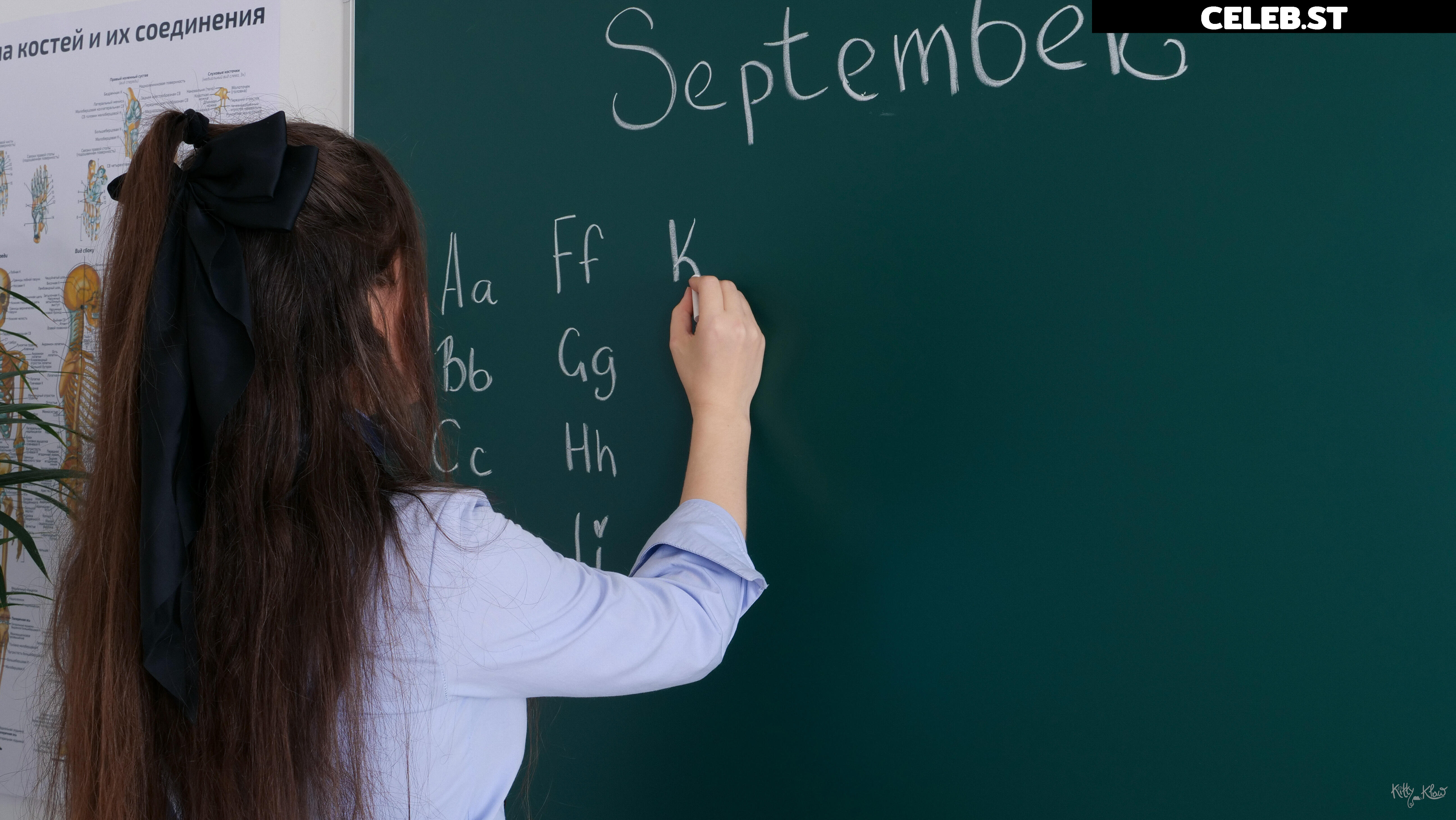 Kittyklaw Image 2512943