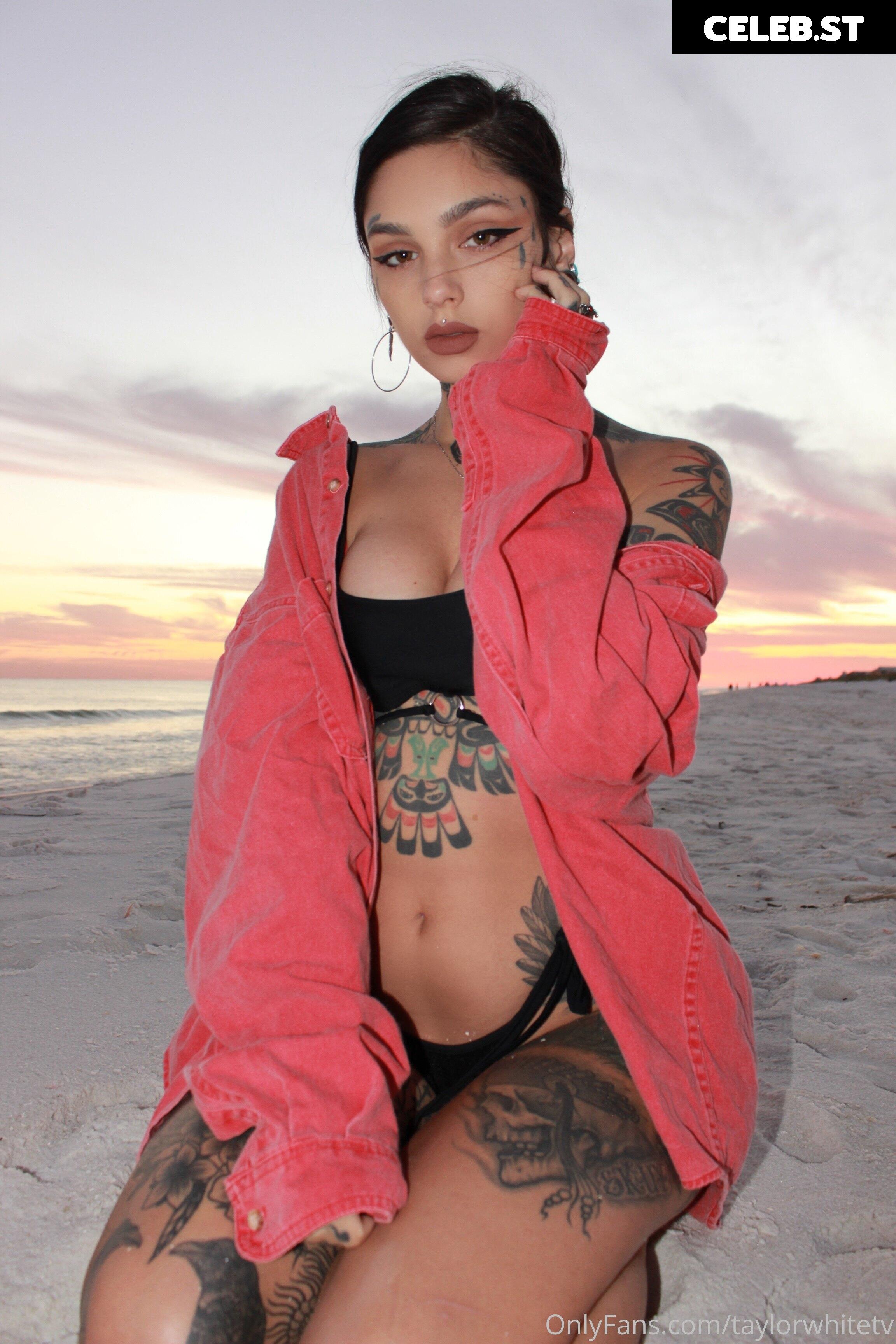 Taylor White Image 2513587