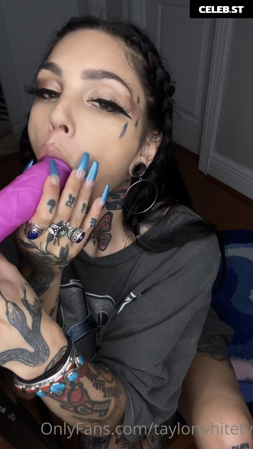 Taylor White Image 2507450