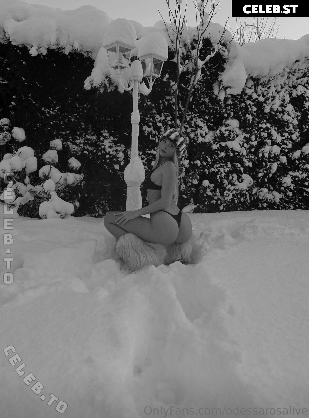Odessarosalive Image 25041428