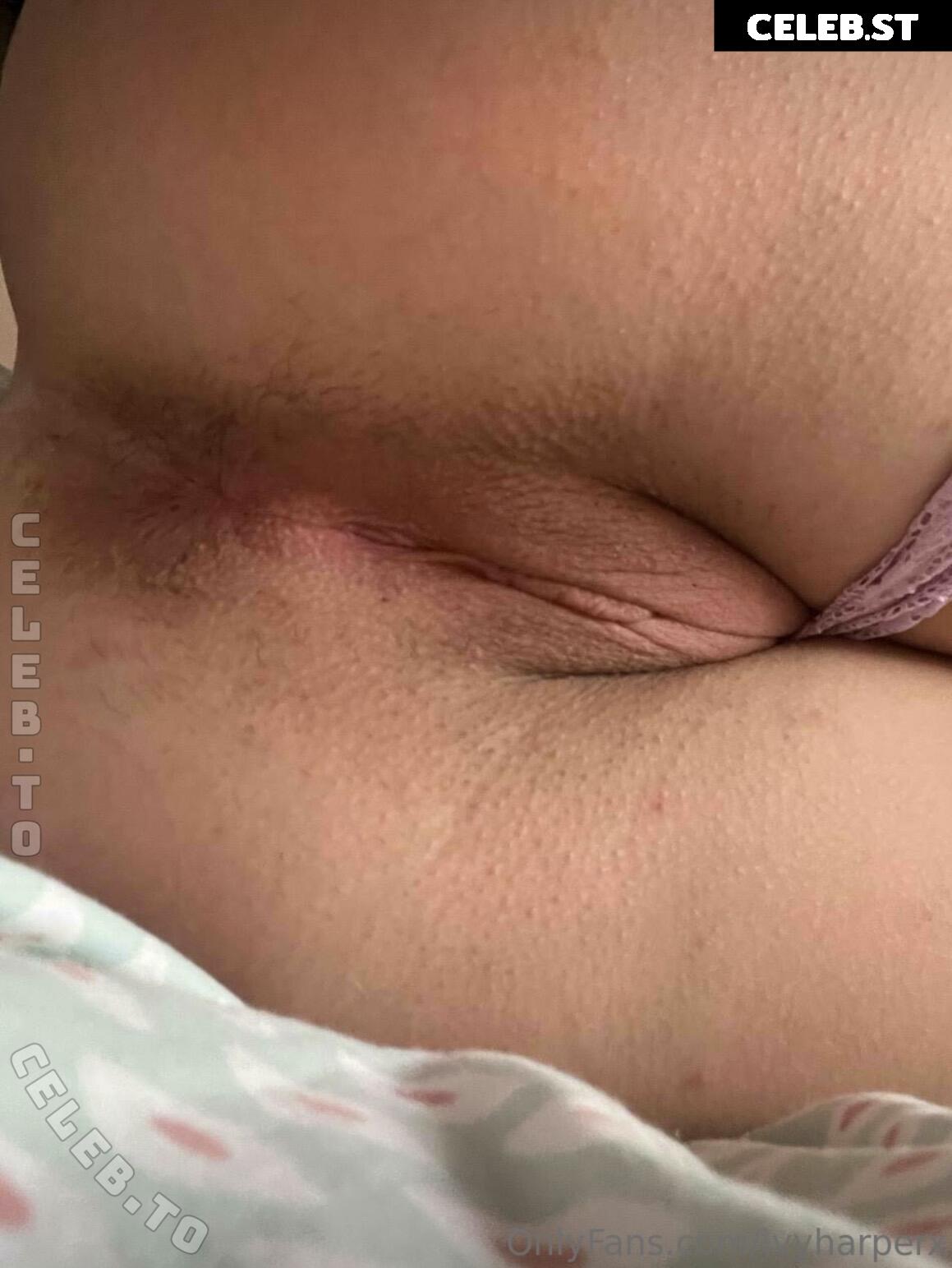ivyharperx Image 25042640