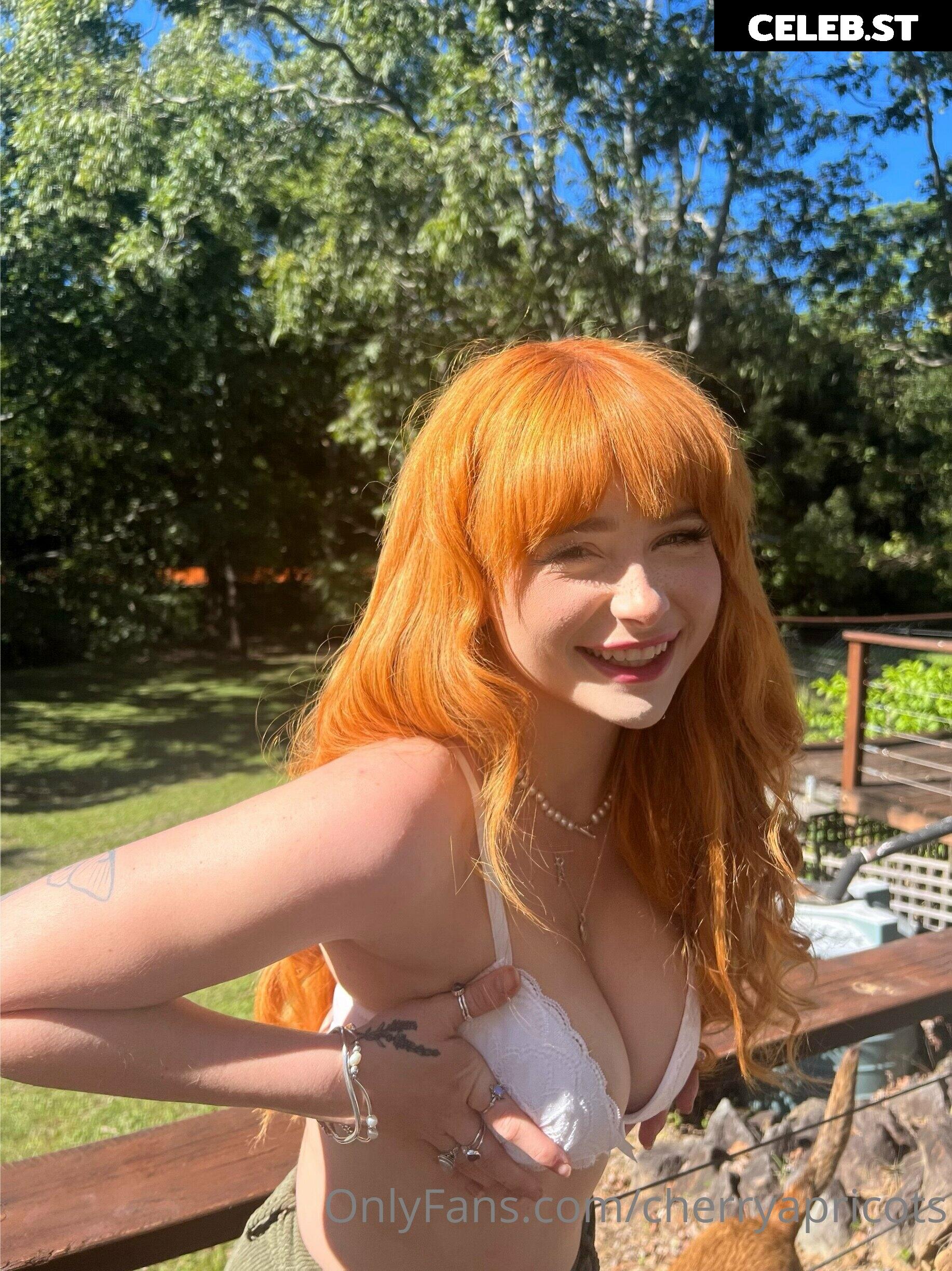 Cherryapricots Image 2503404