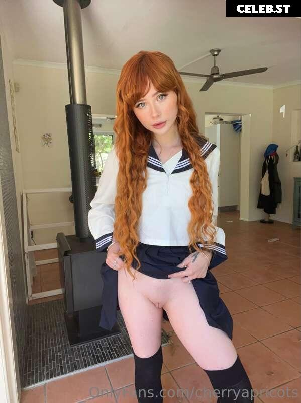 Cherryapricots Image 2503029