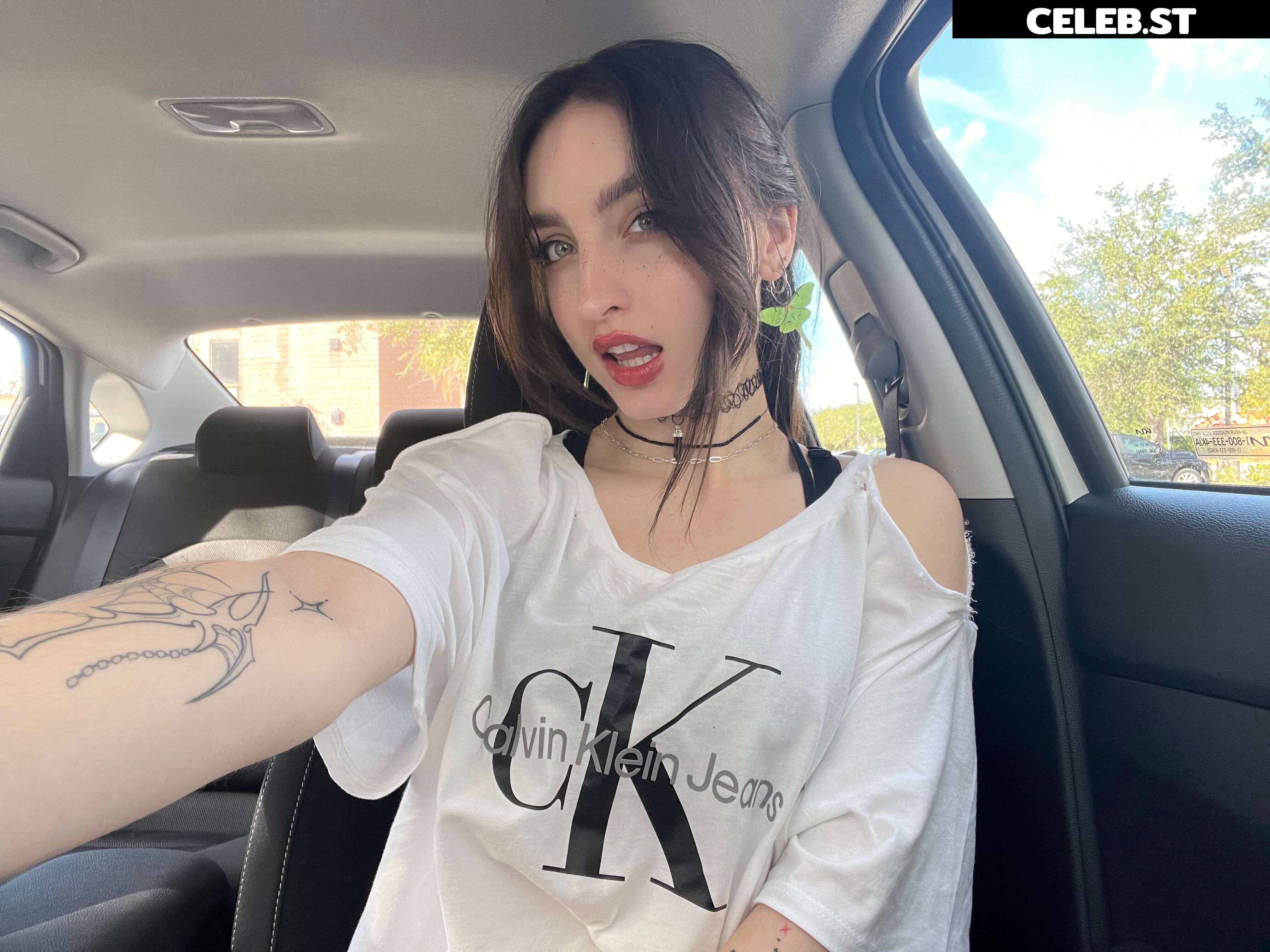 beebee Image 2509576